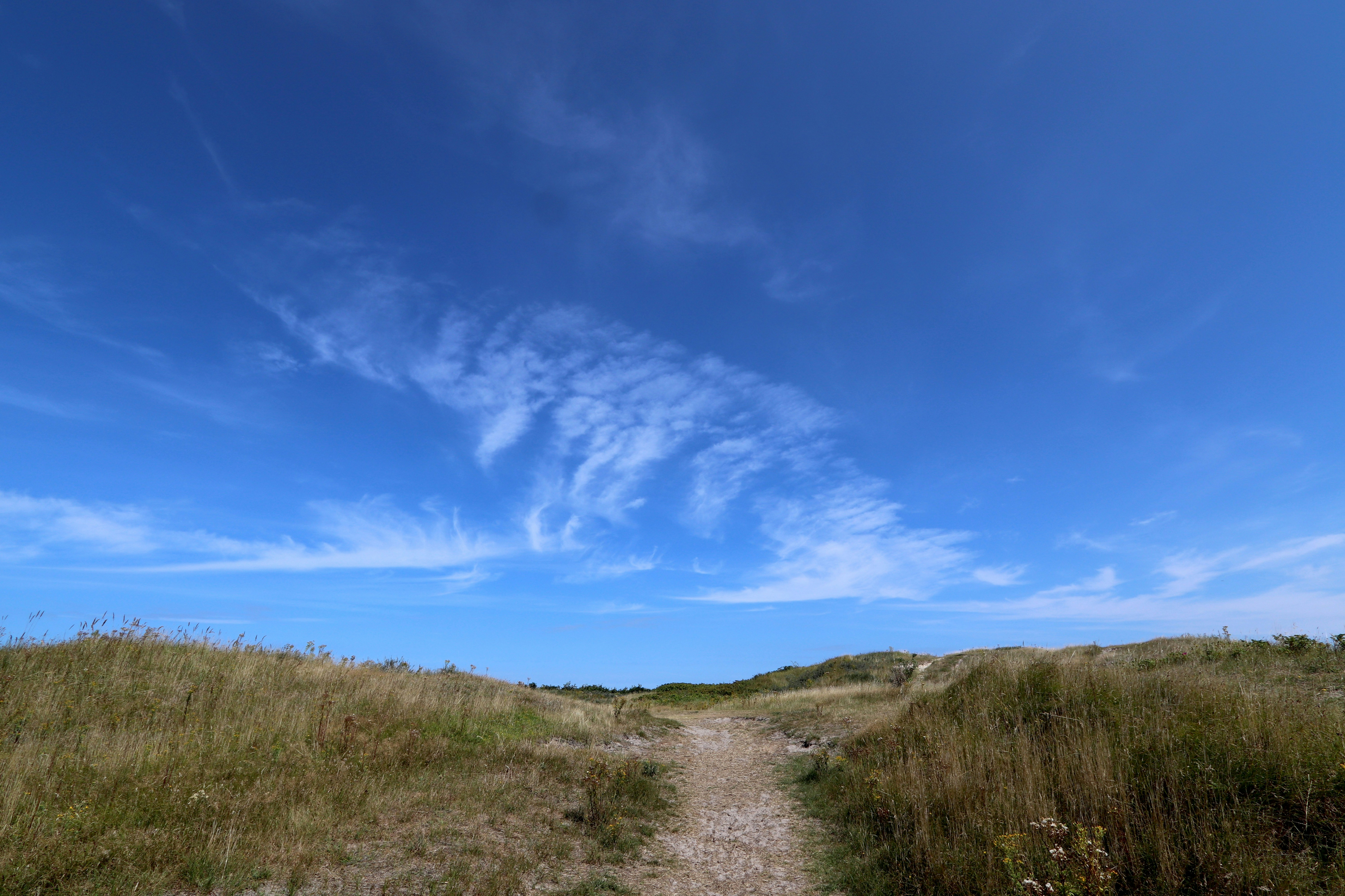 Photo by justmejuliee