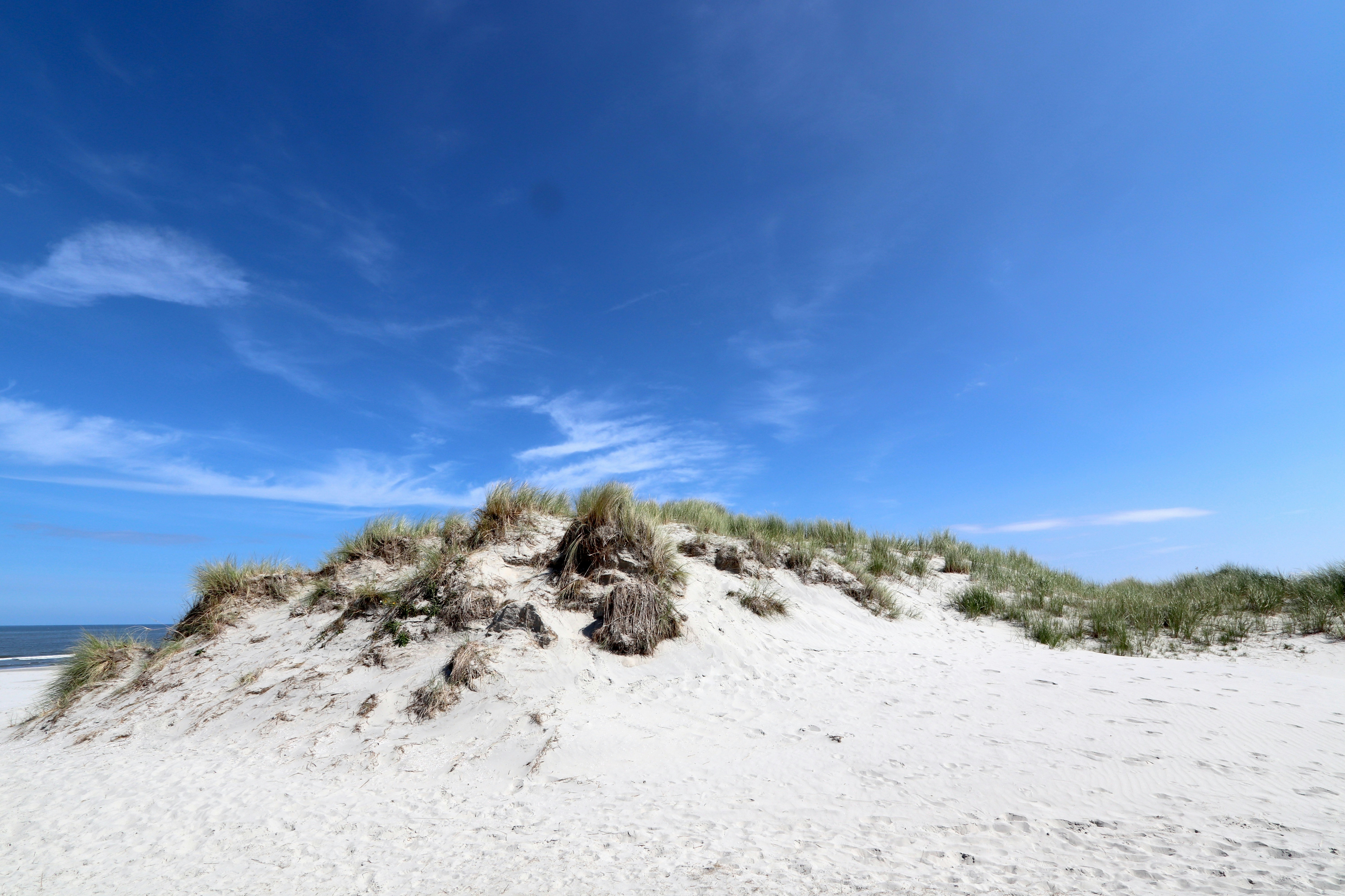 Photo by justmejuliee