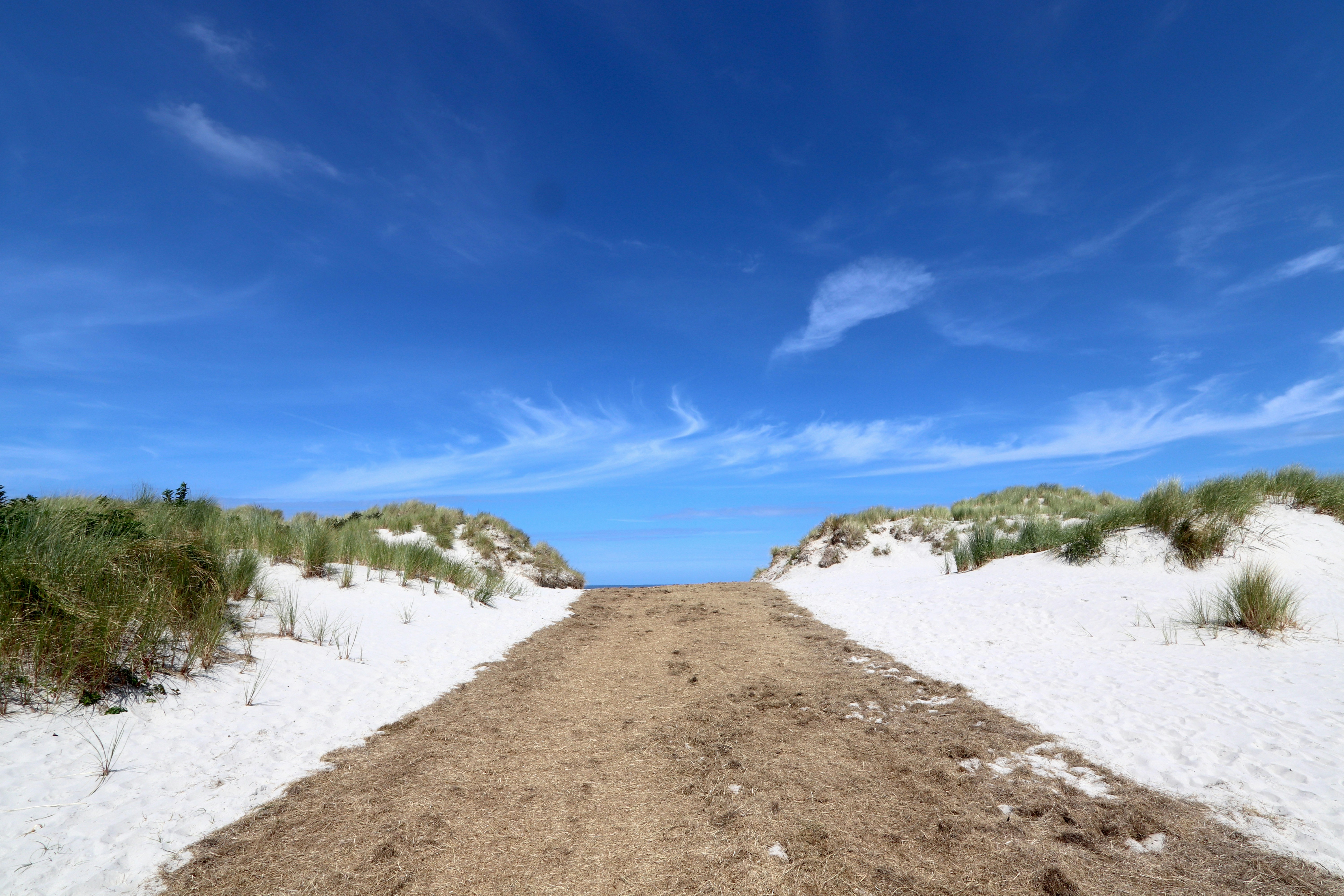 Photo by justmejuliee