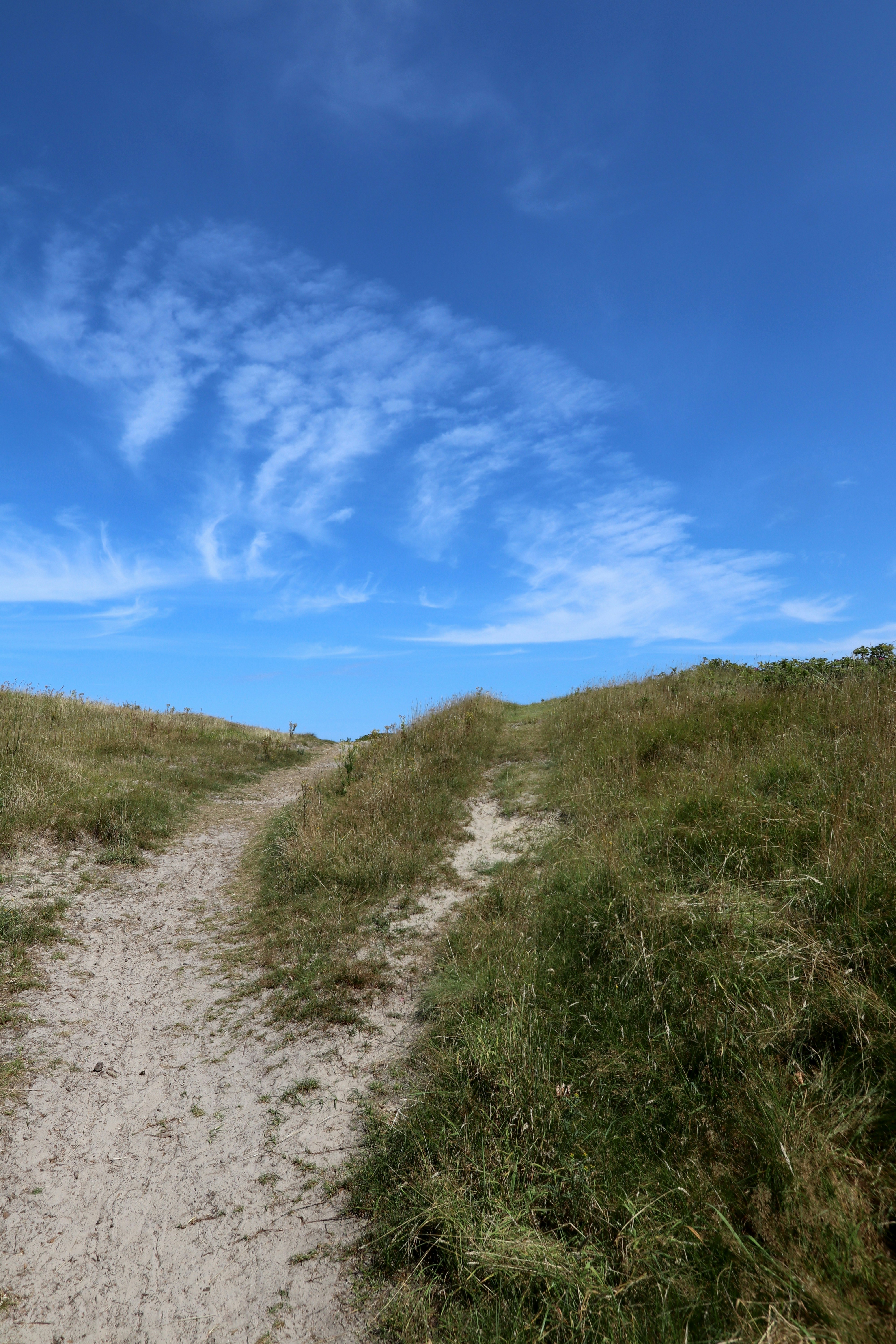 Photo by justmejuliee