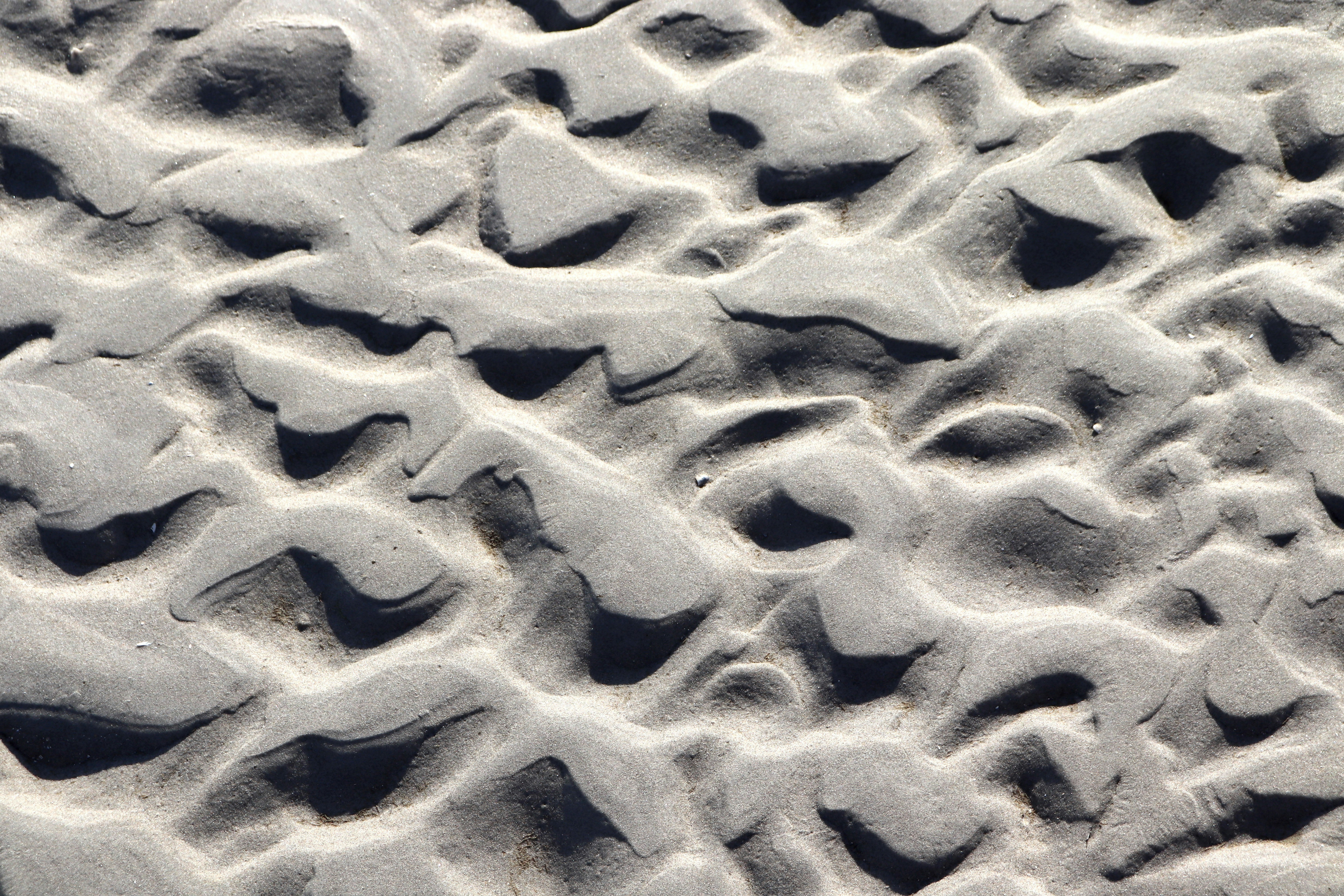 Photo by justmejuliee