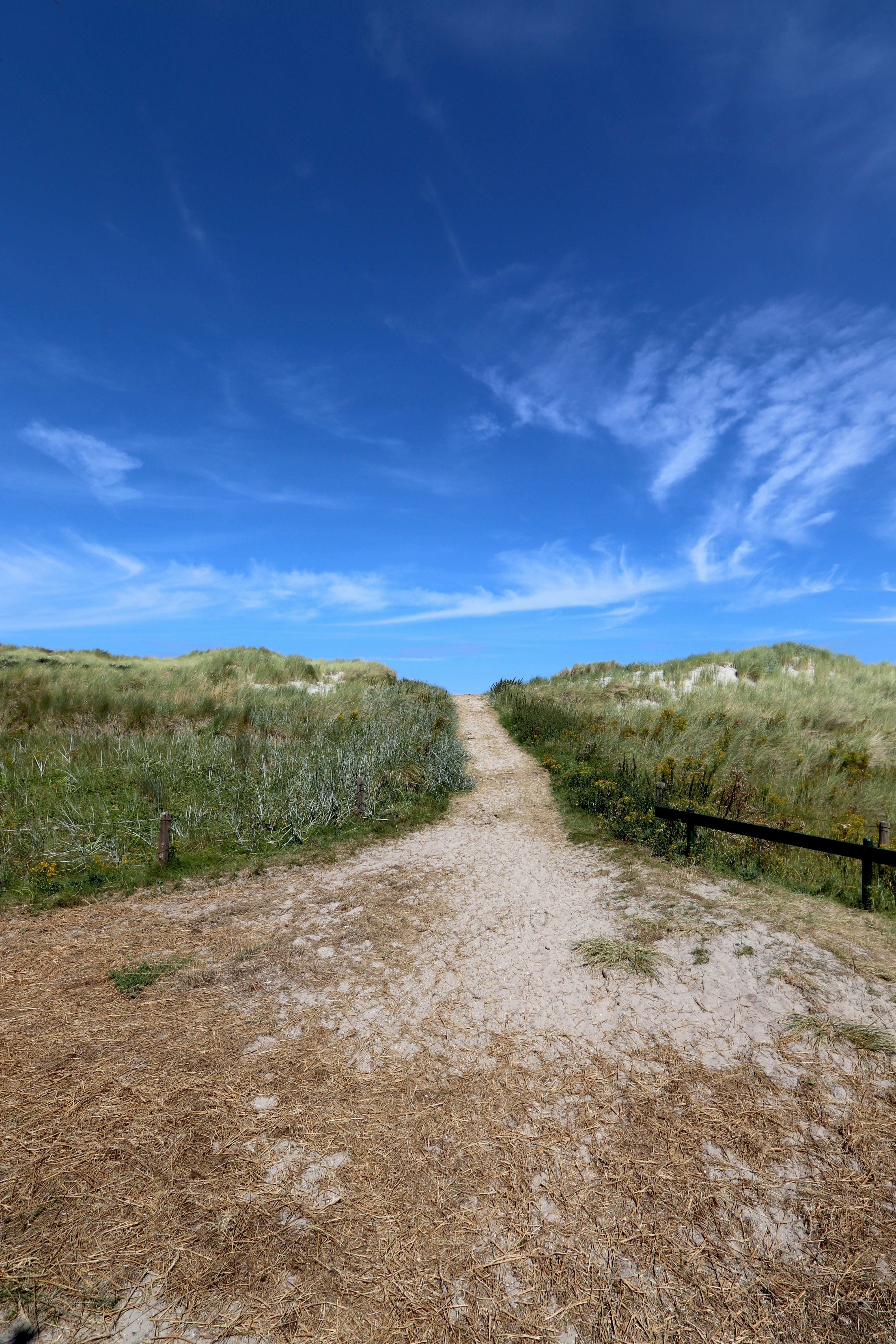 Photo by justmejuliee