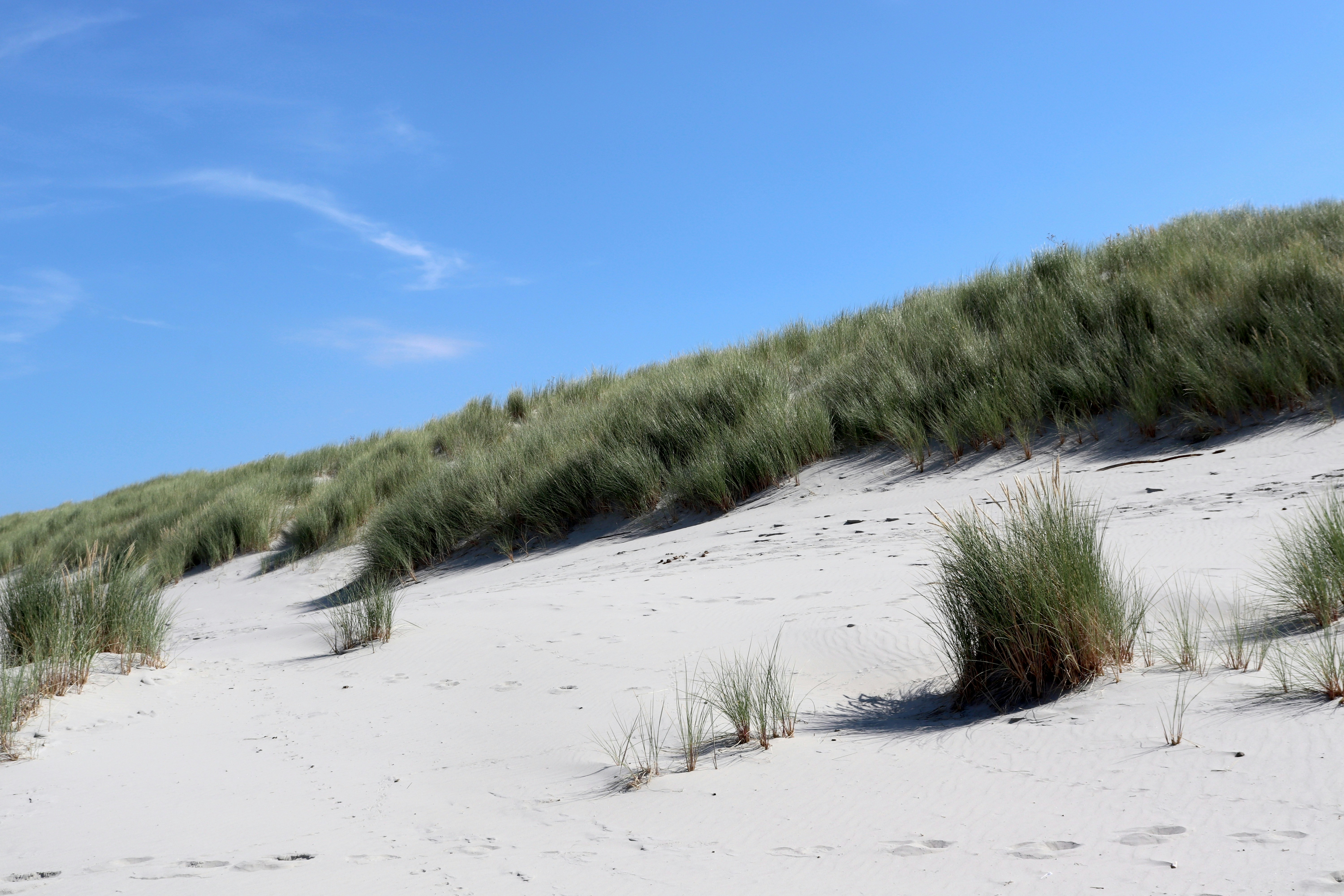 Photo by justmejuliee