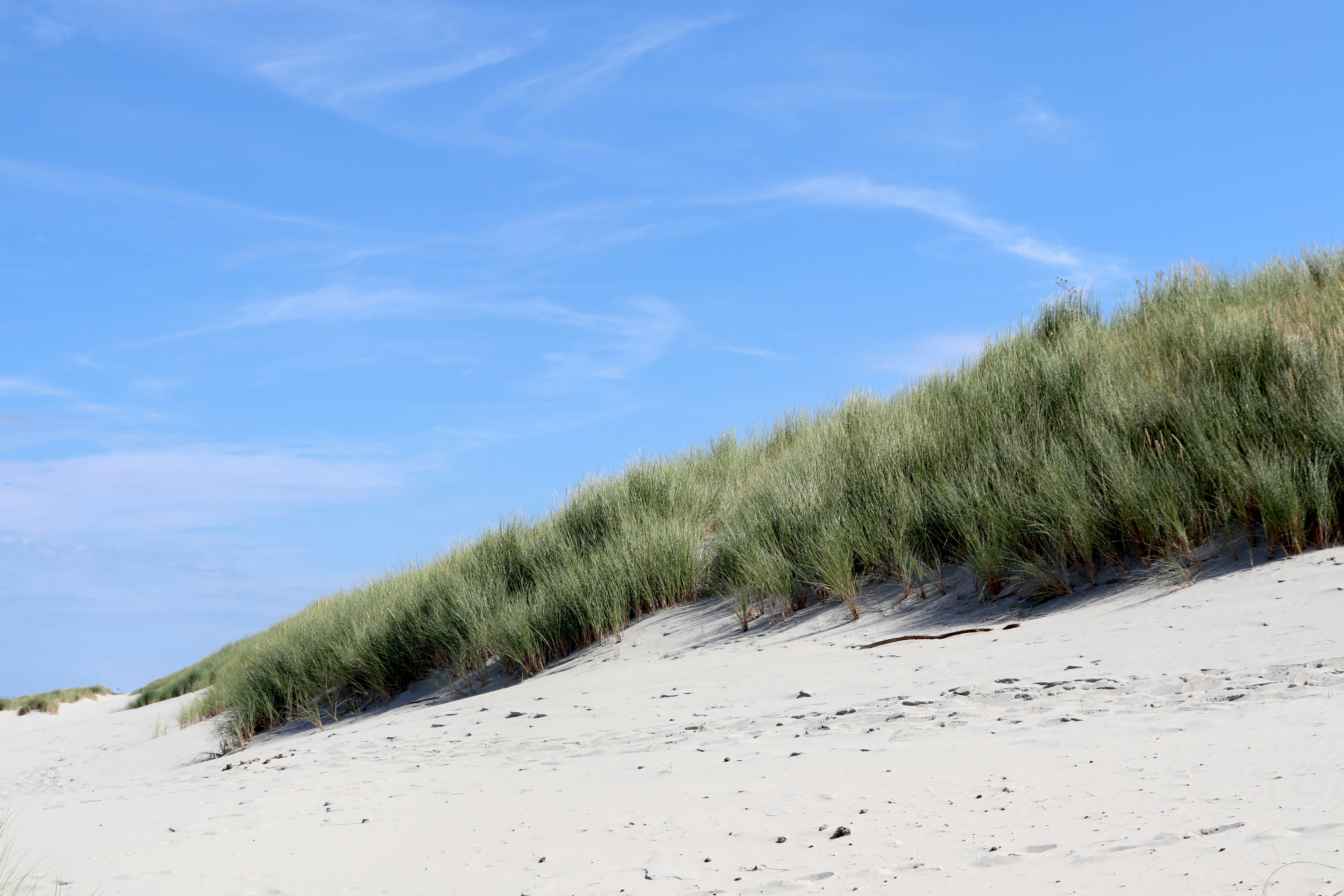 Photo by justmejuliee