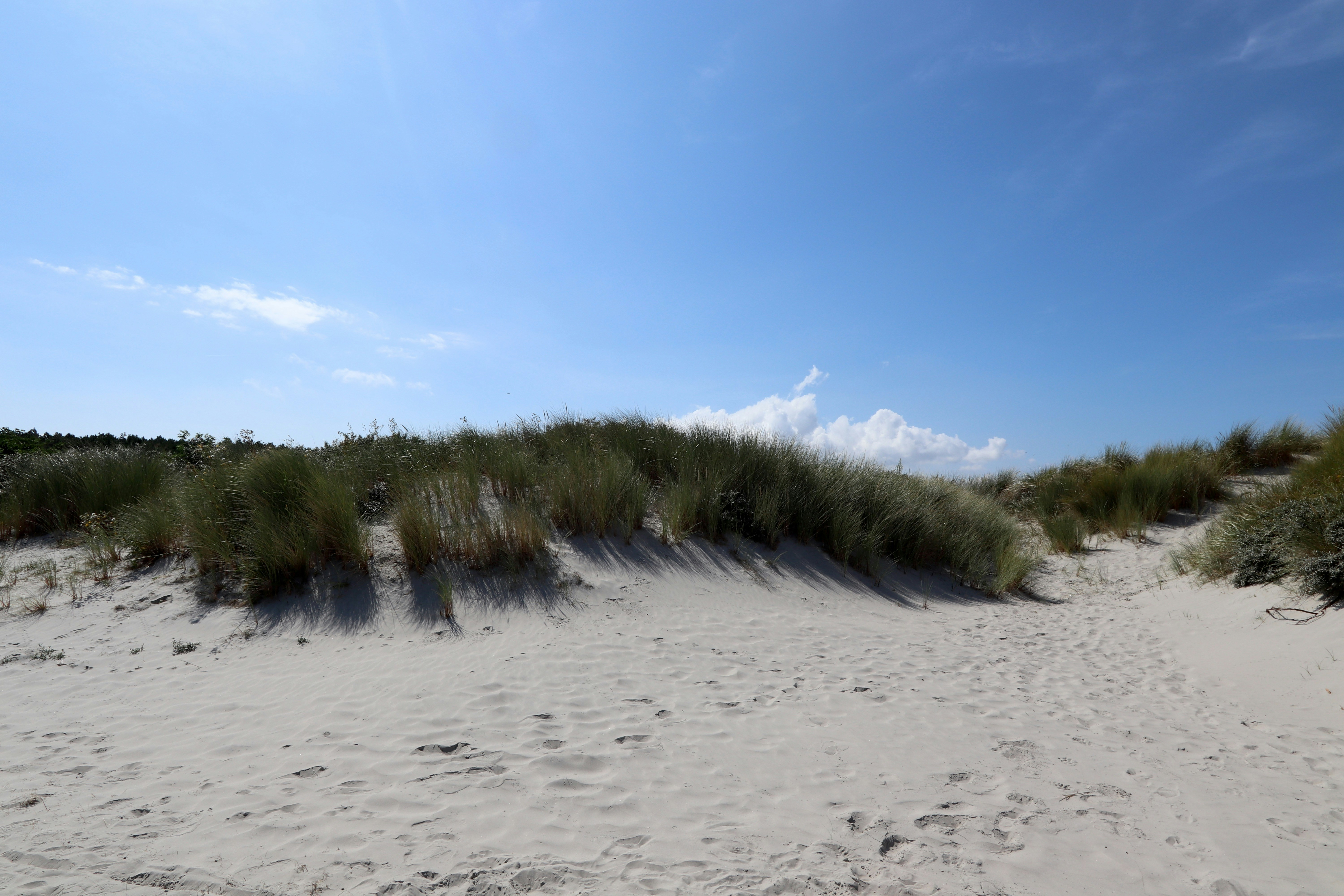 Afbeelding van Nederland