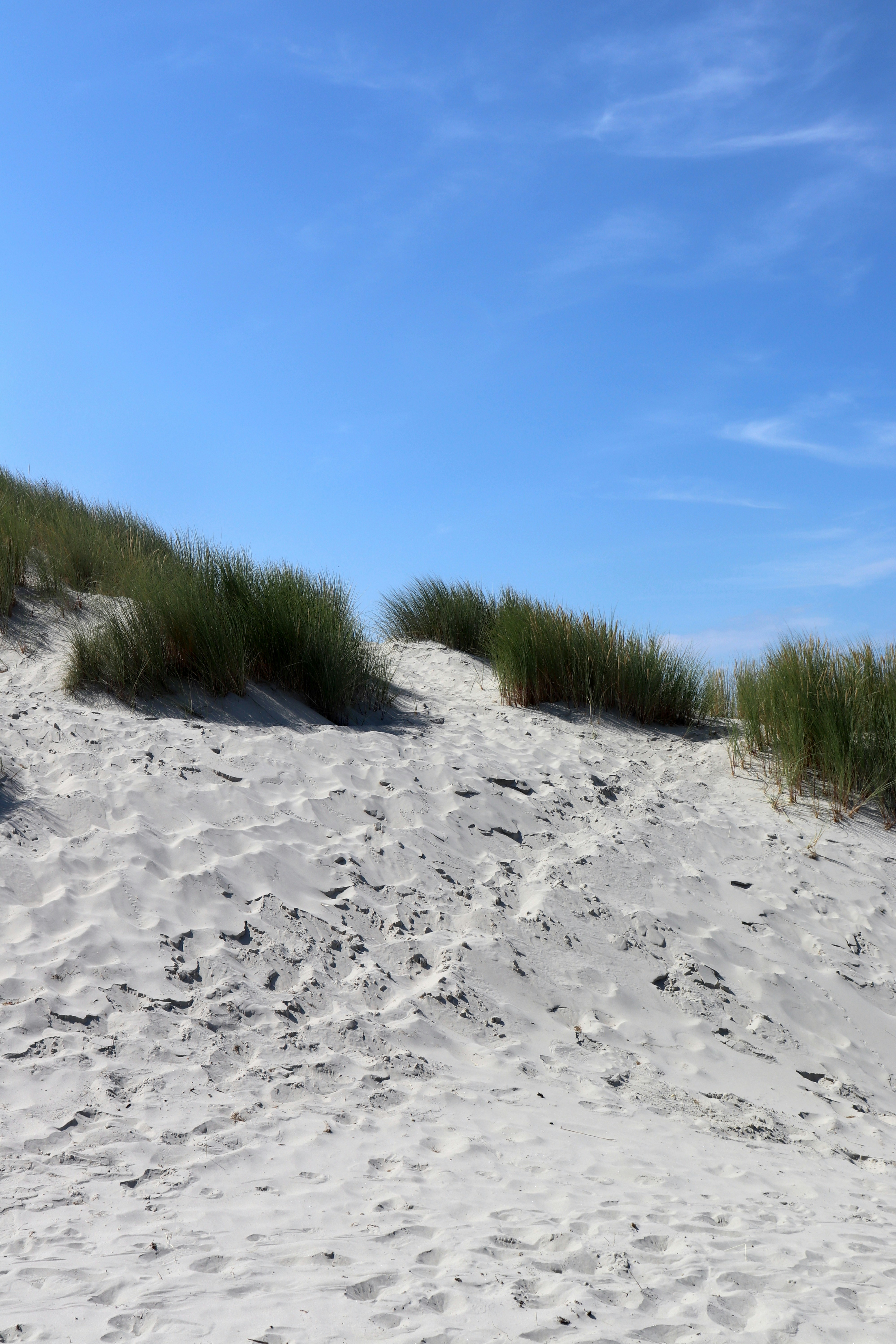 Photo by justmejuliee