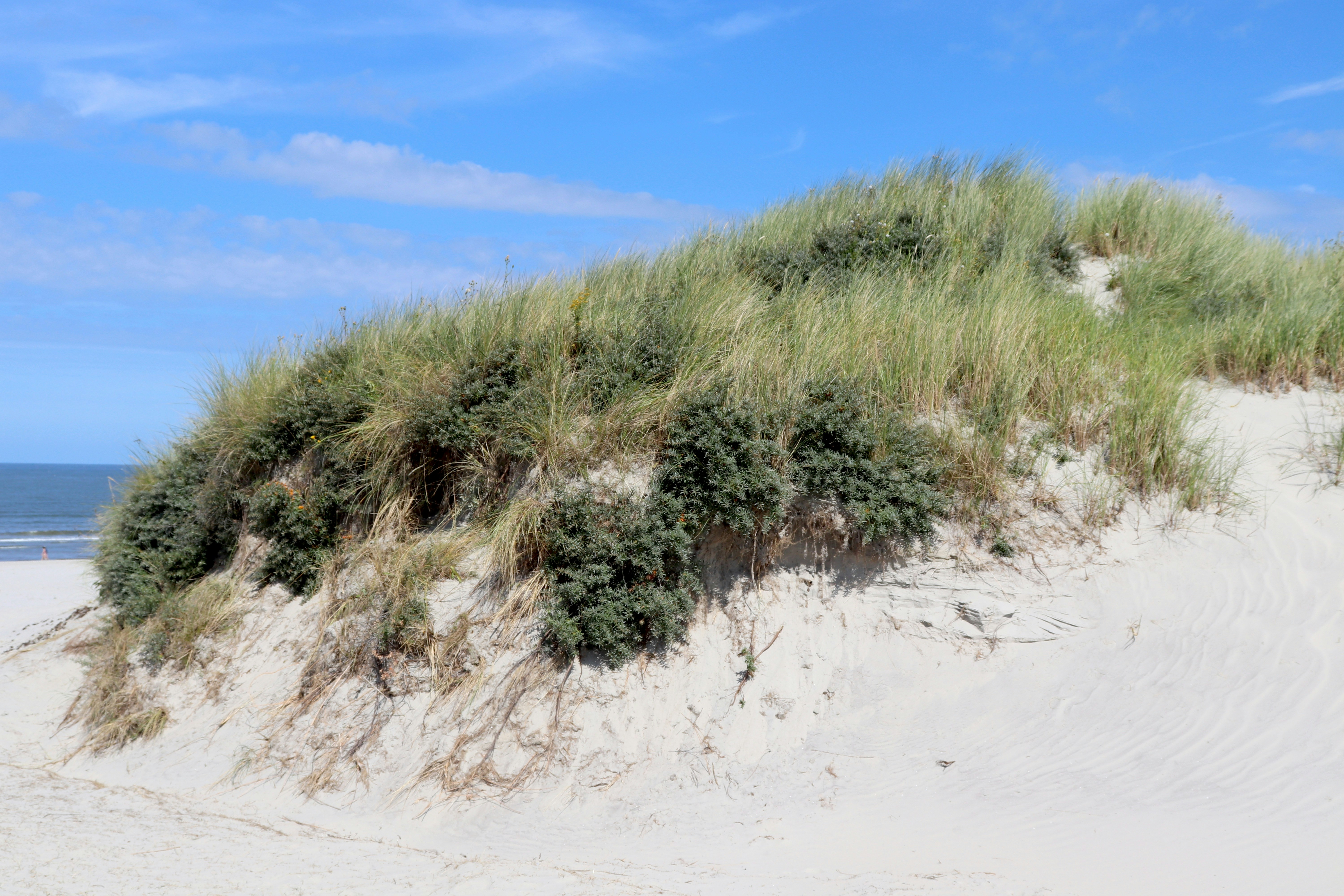 Photo by justmejuliee