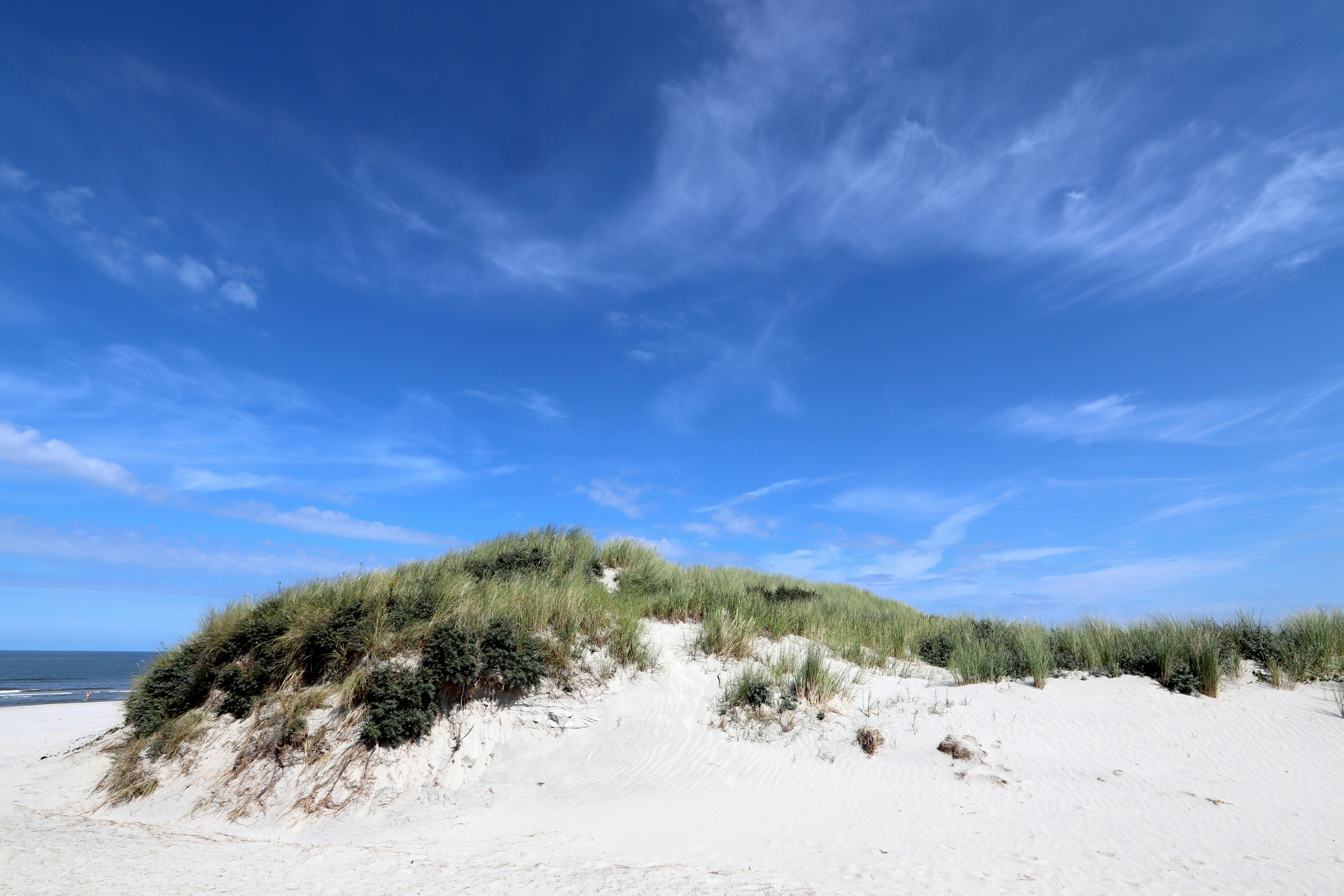 Photo by justmejuliee