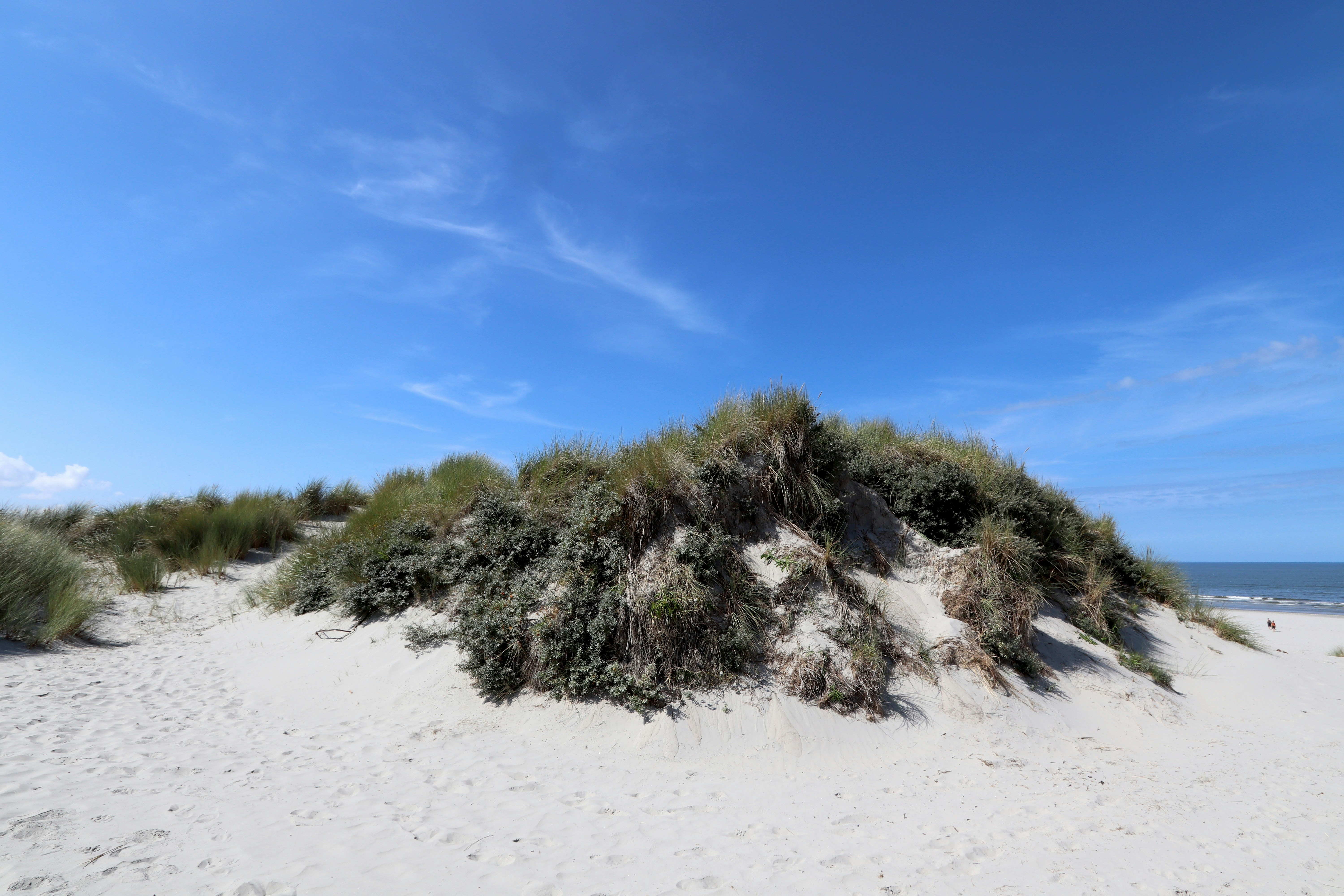 Photo by justmejuliee