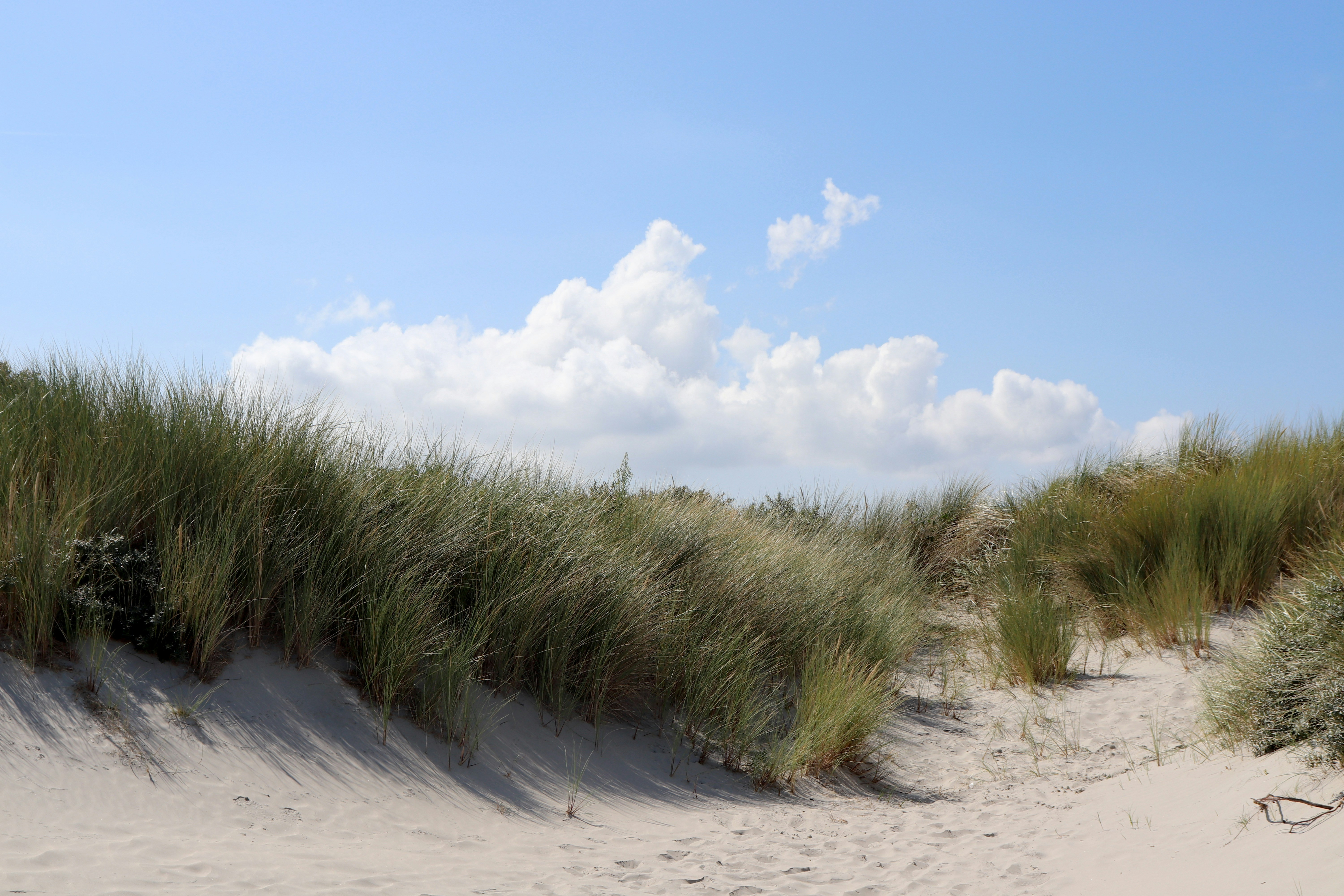 Photo by justmejuliee