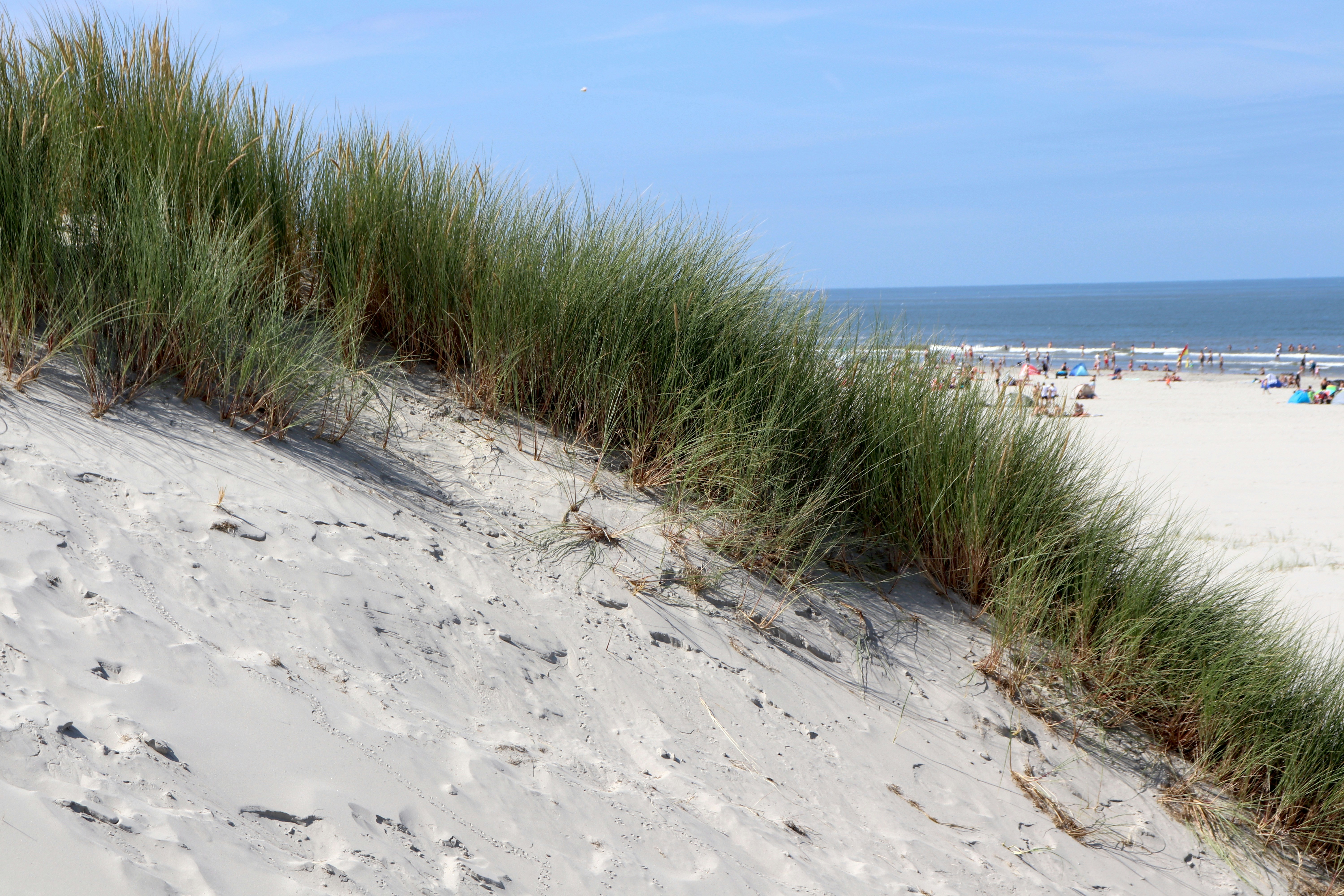 Photo by justmejuliee