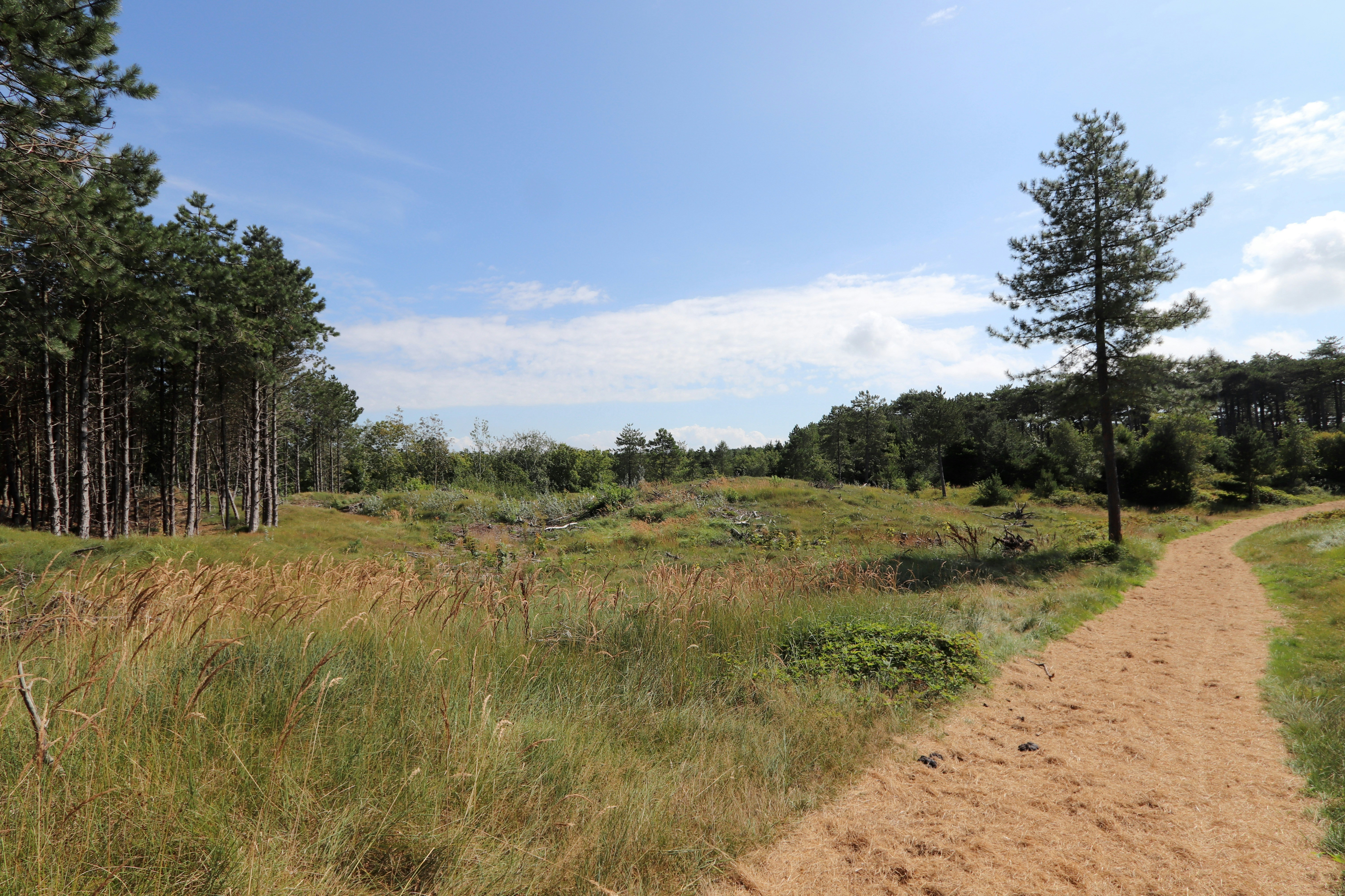 Photo by justmejuliee