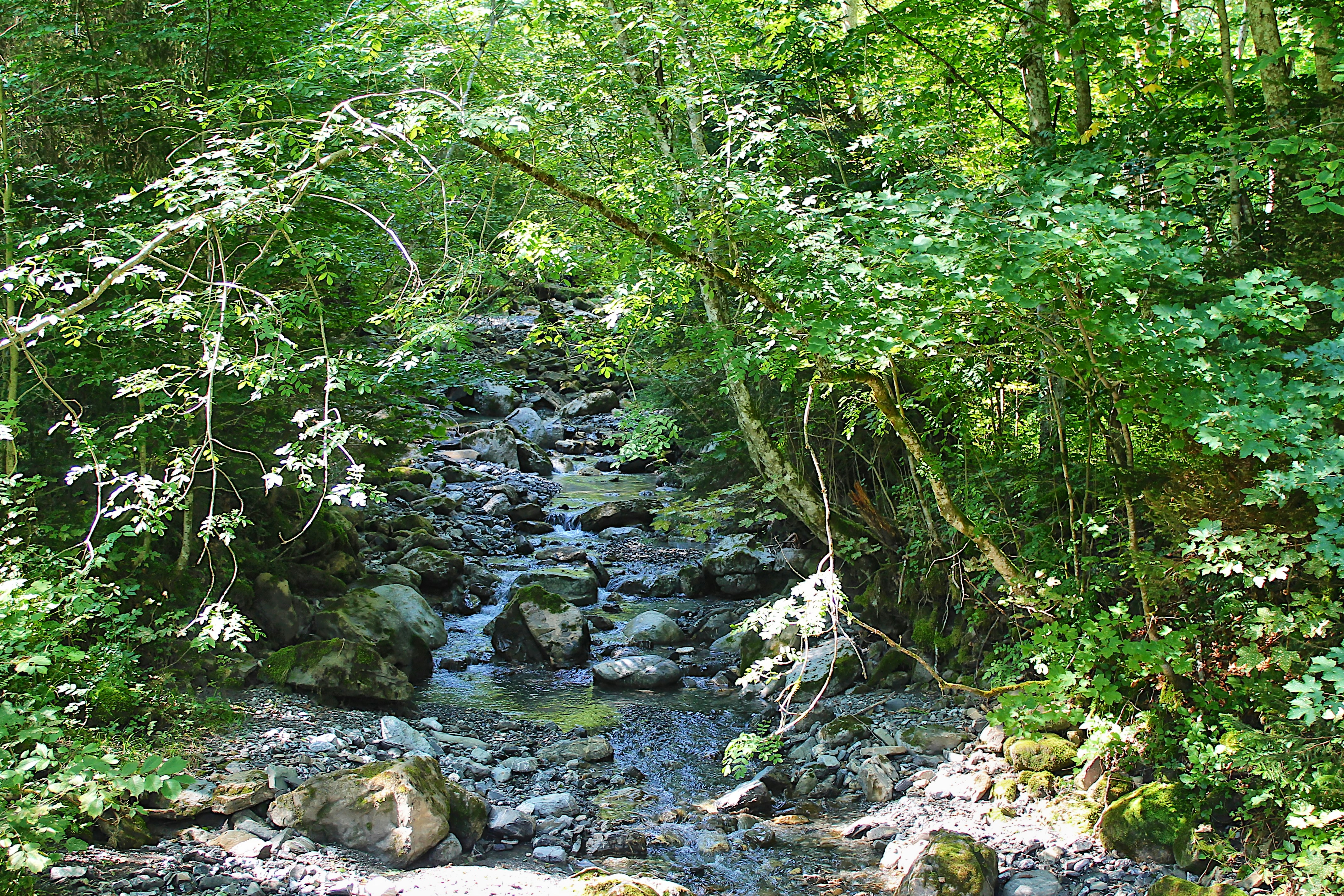 Photo by appenzellmoto