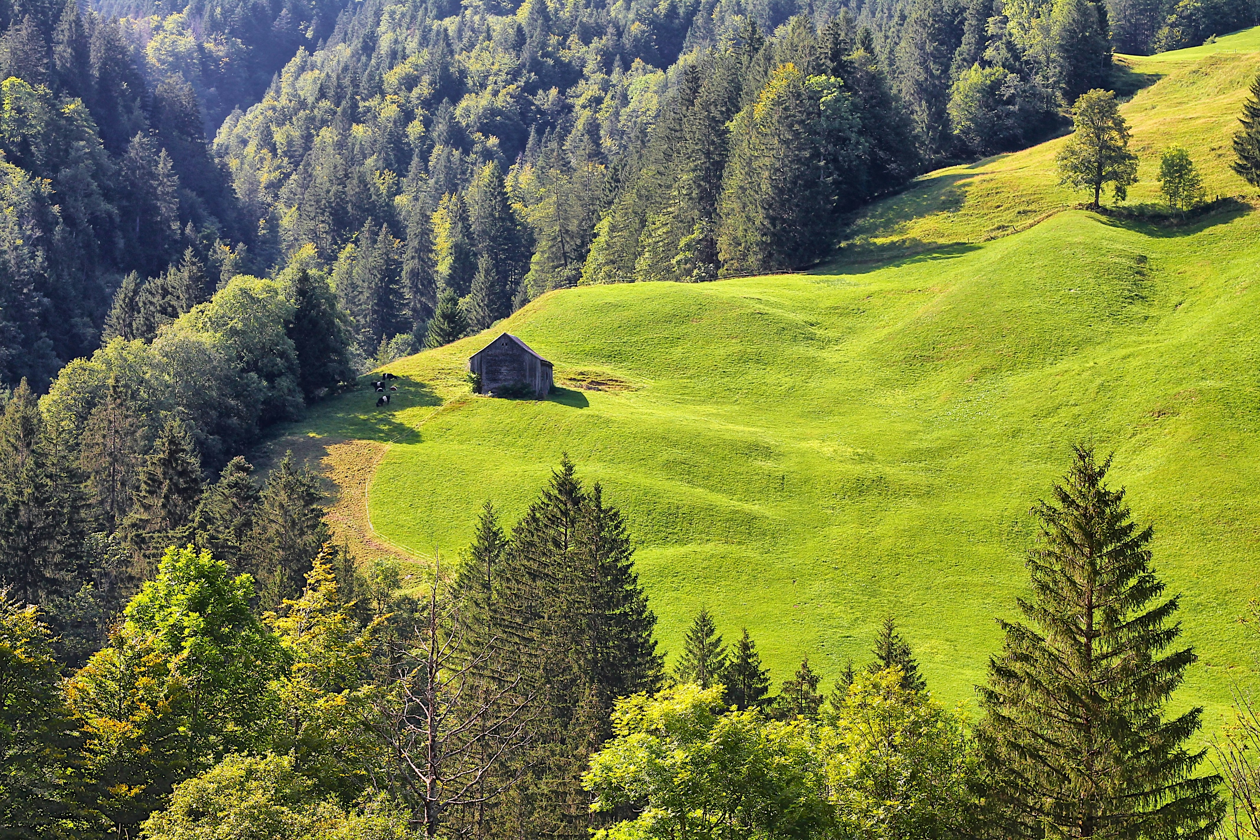 Photo by appenzellmoto