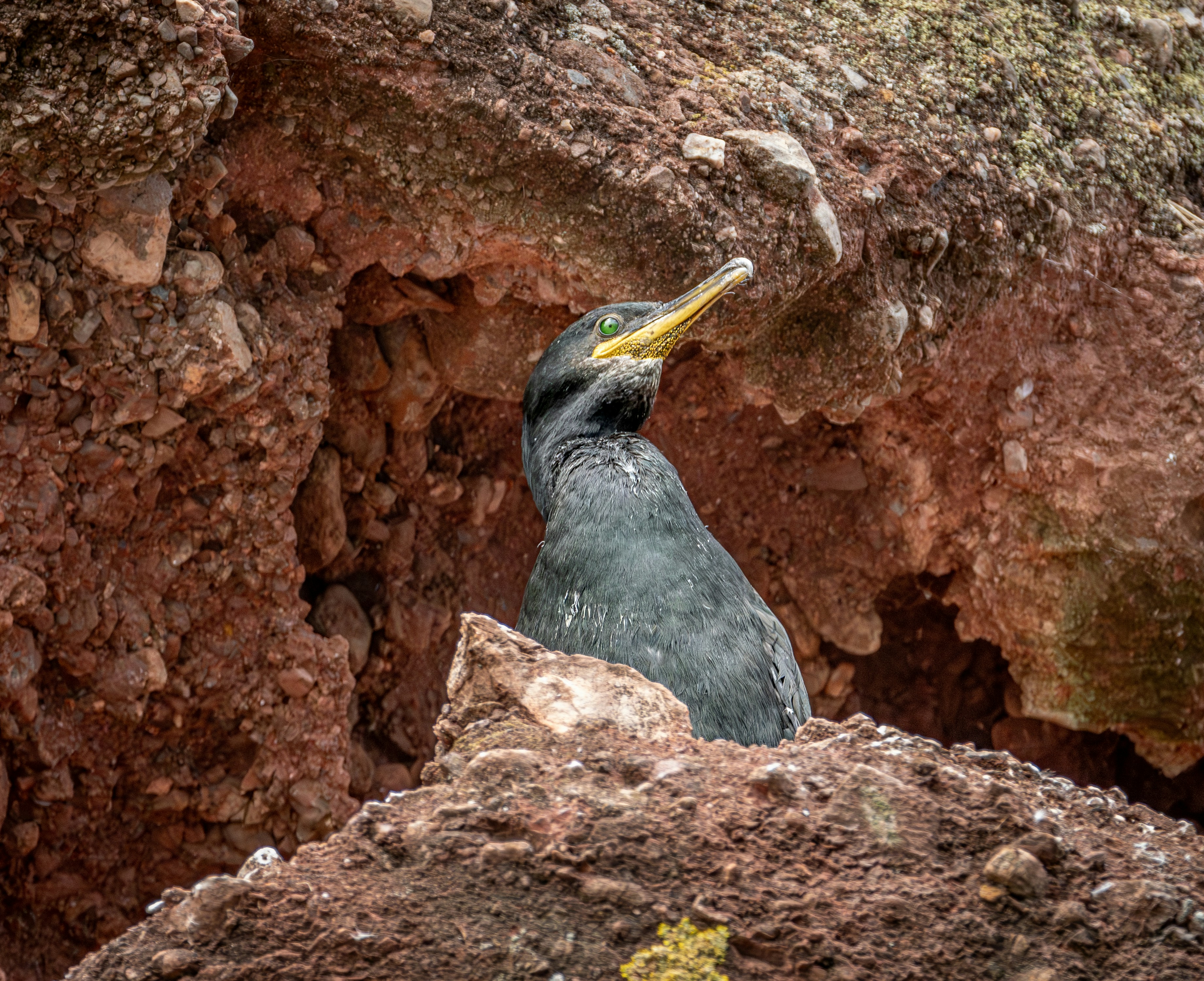 Photo by raymondo600