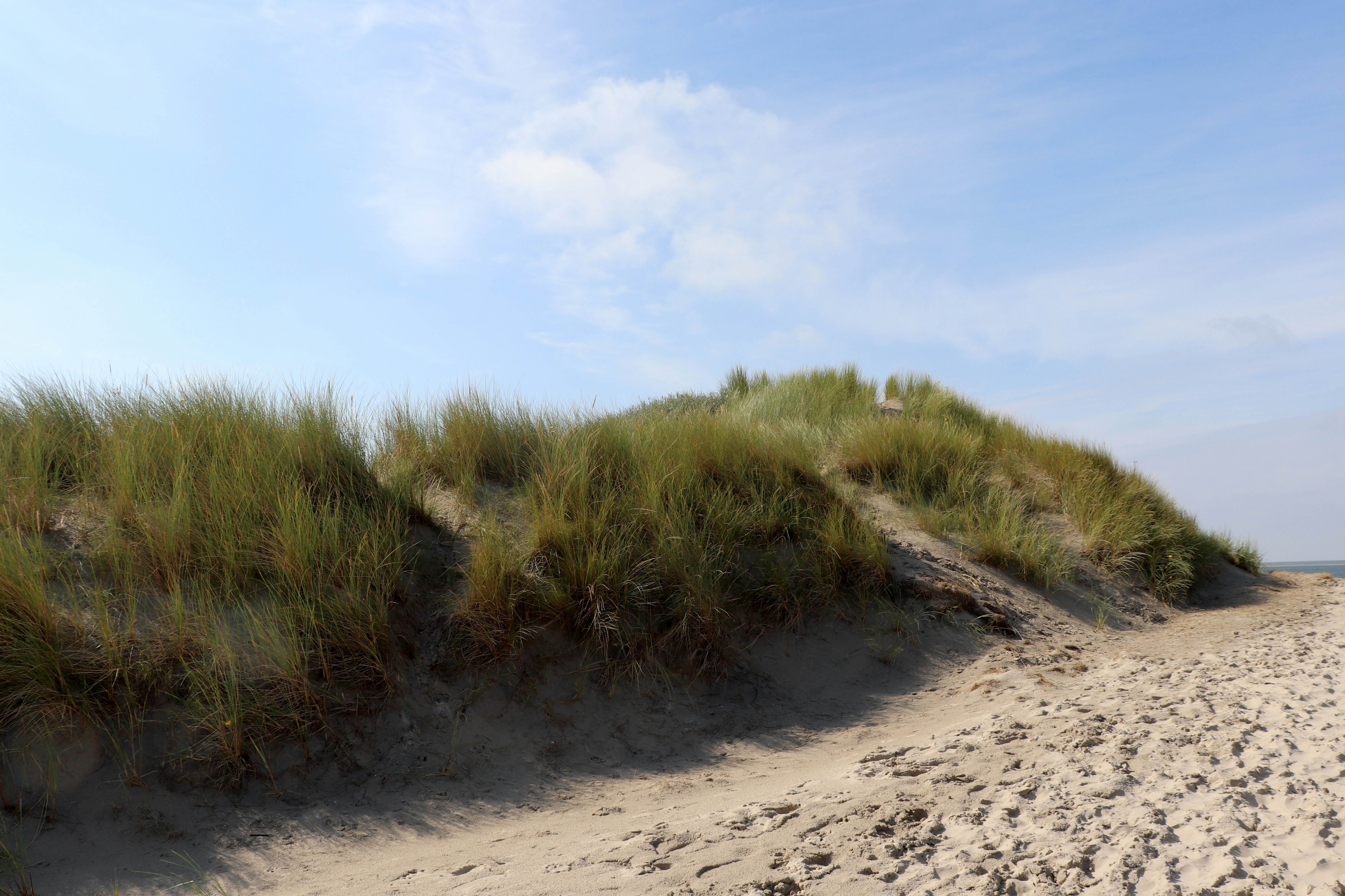 Photo by justmejuliee