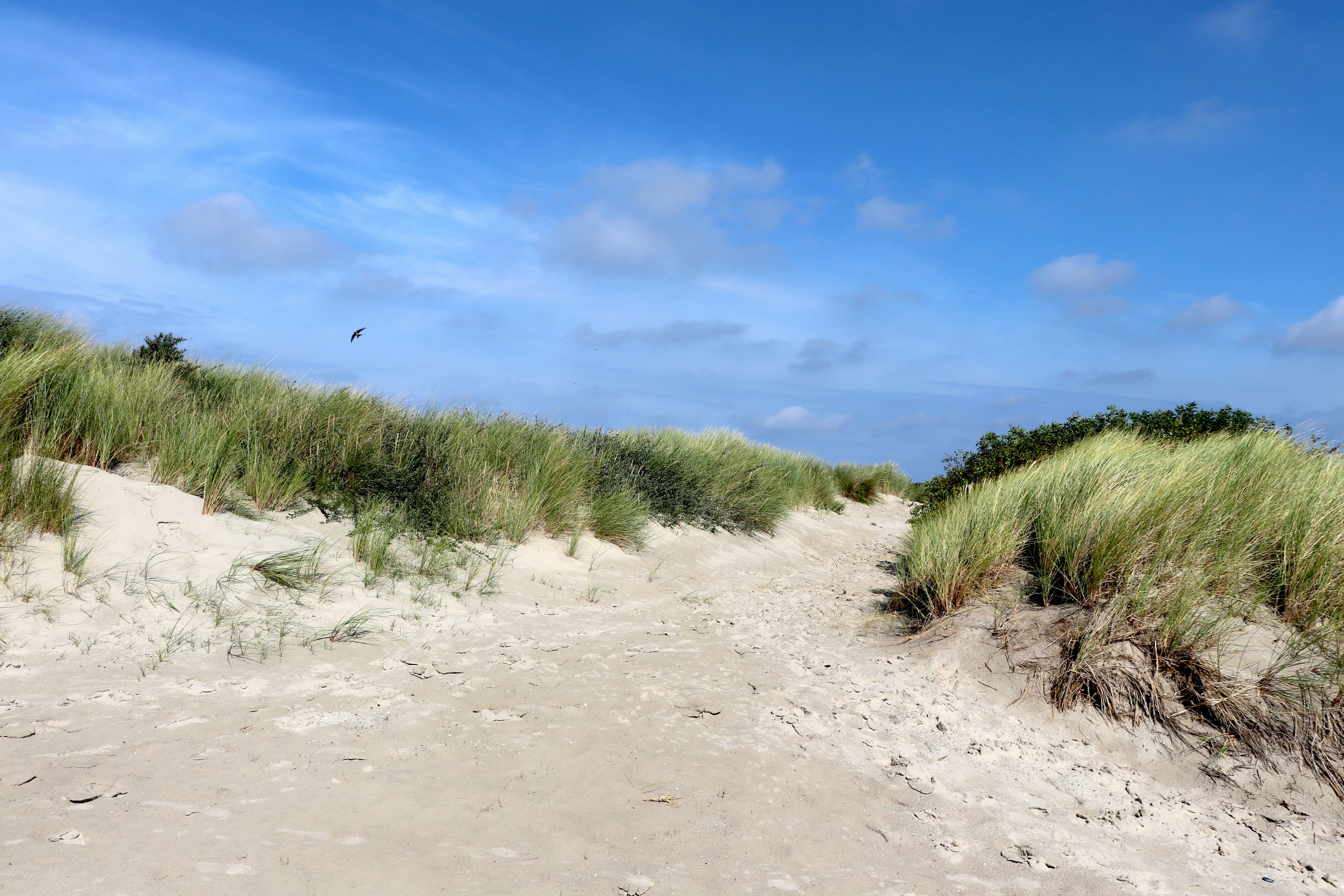 Photo by justmejuliee