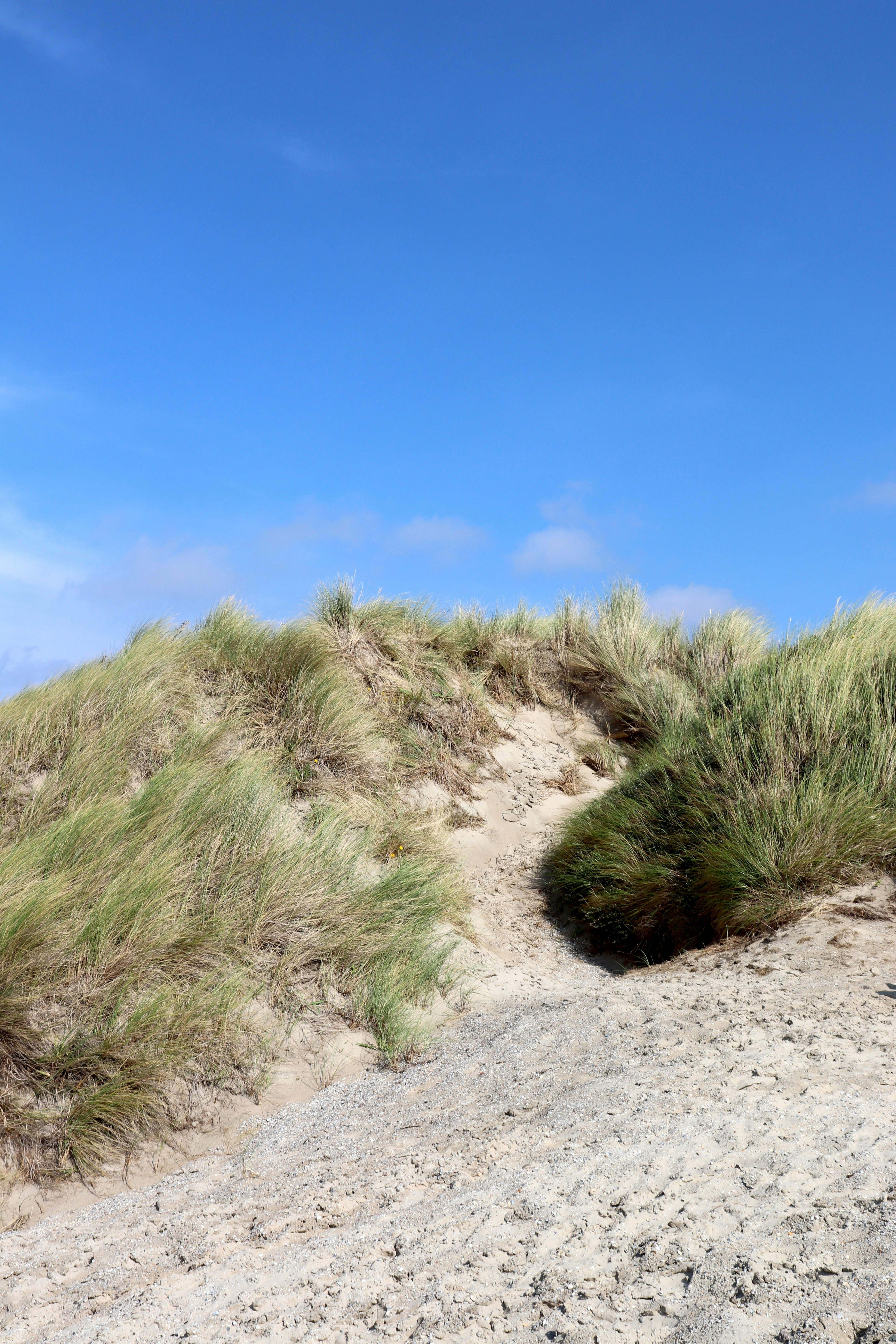 Photo by justmejuliee