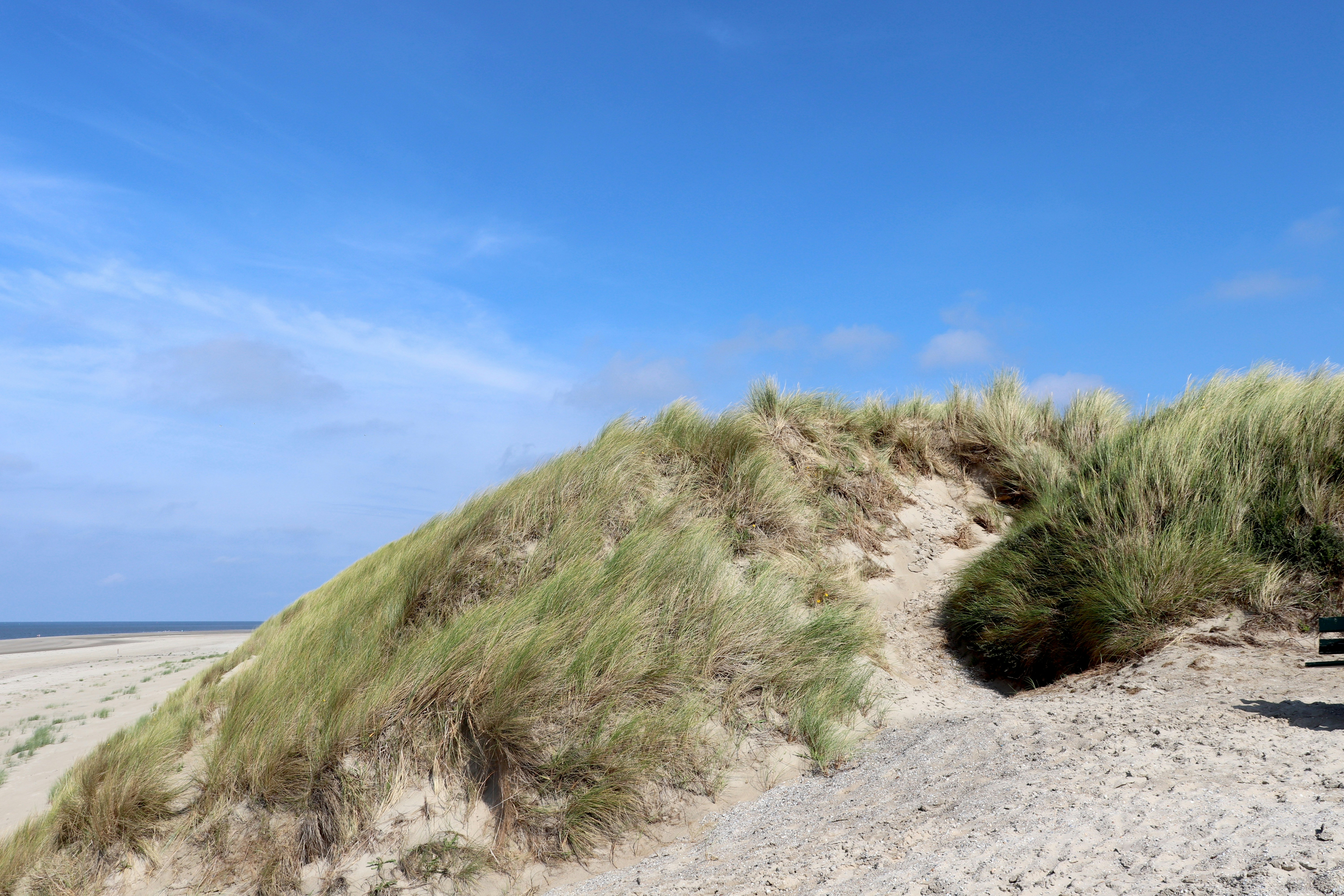 Photo by justmejuliee