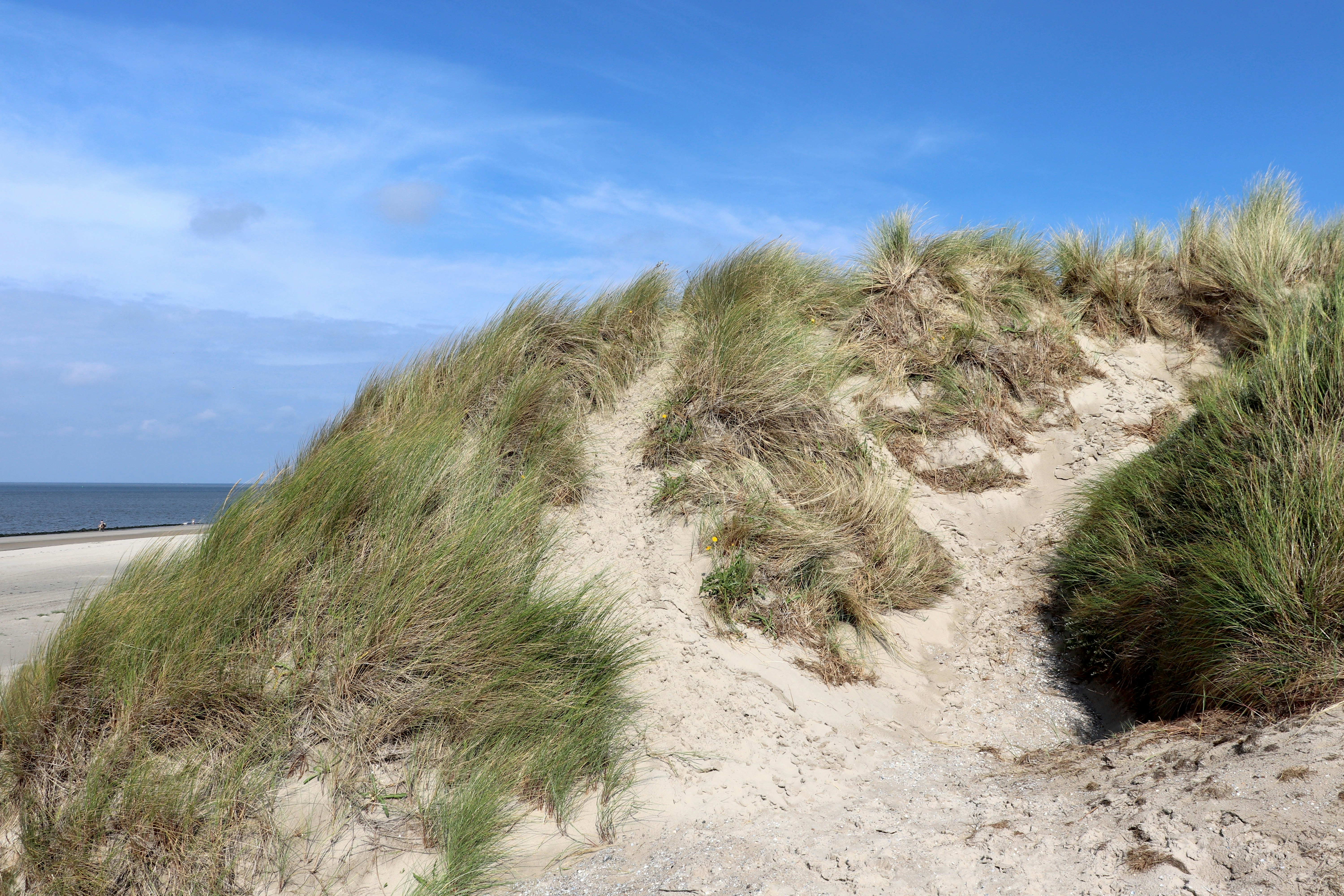 Photo by justmejuliee