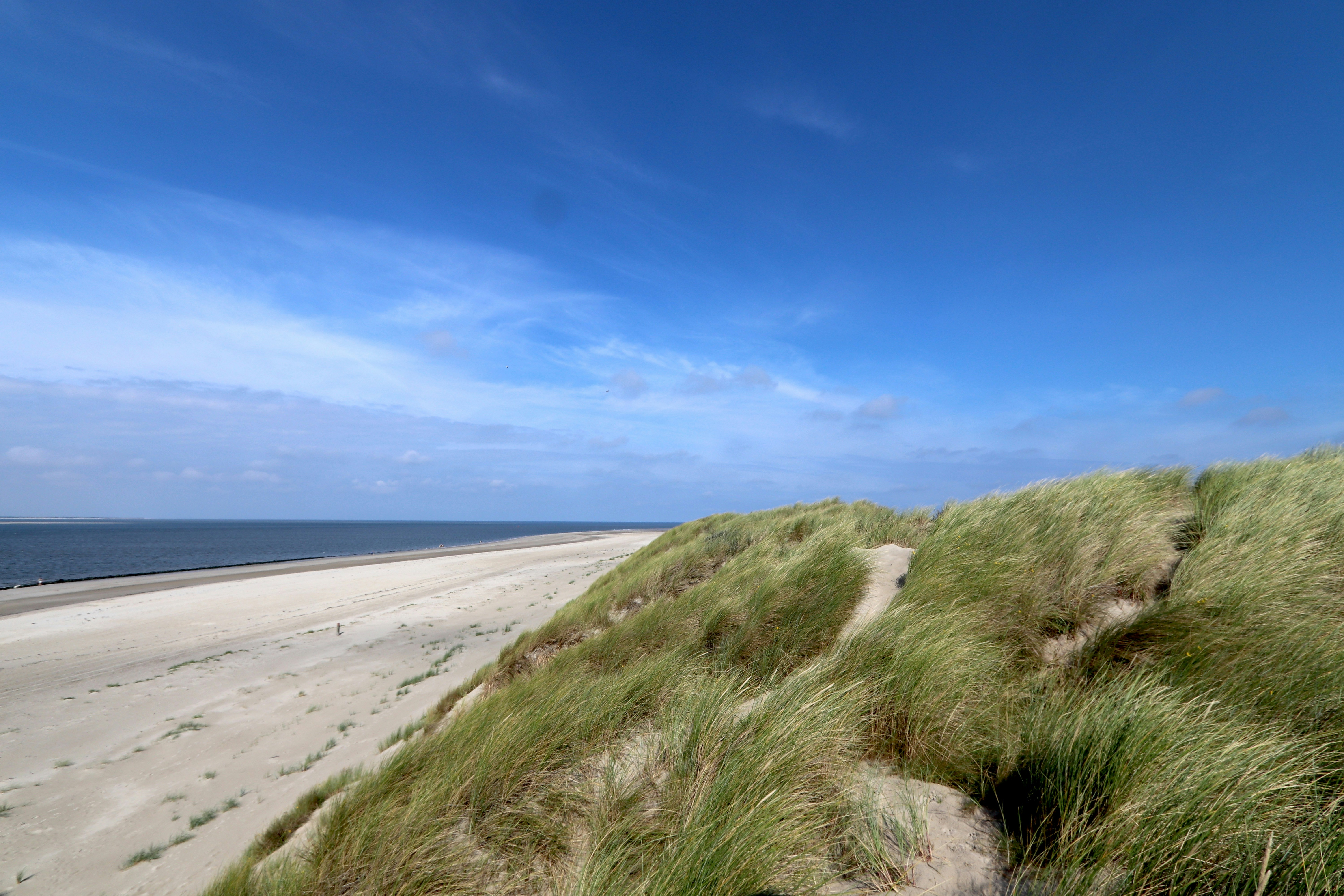 Photo by justmejuliee