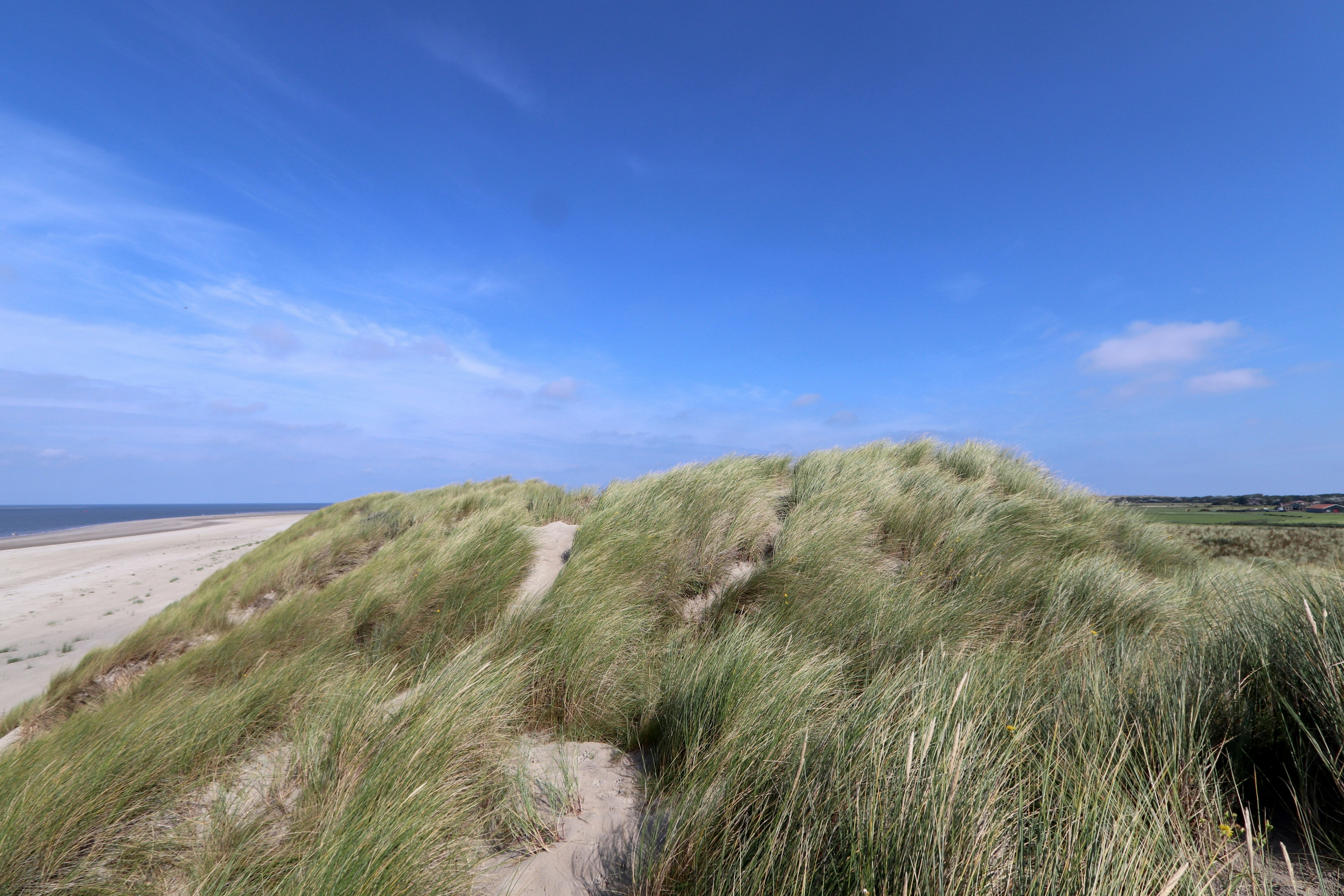 Photo by justmejuliee