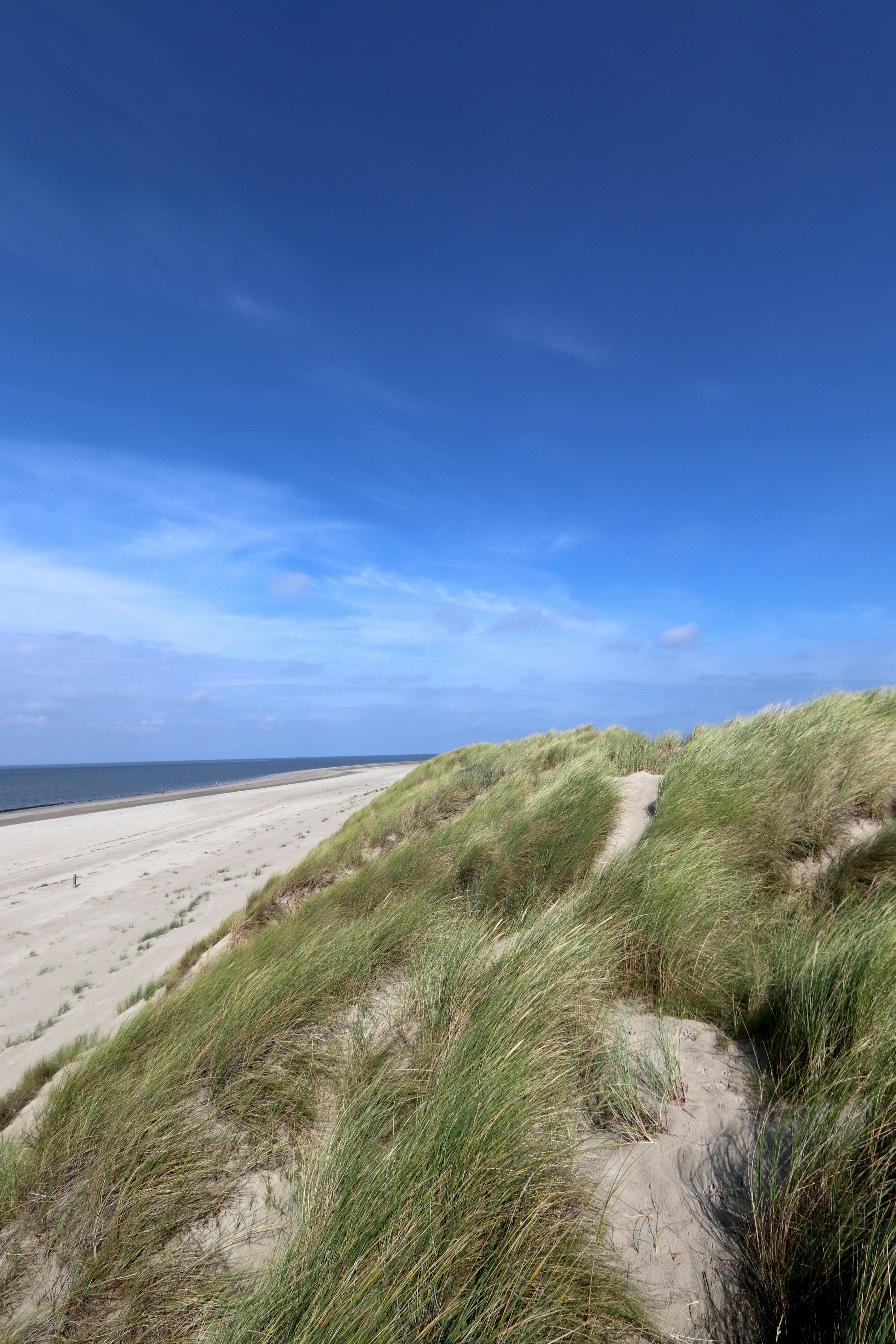 Photo by justmejuliee