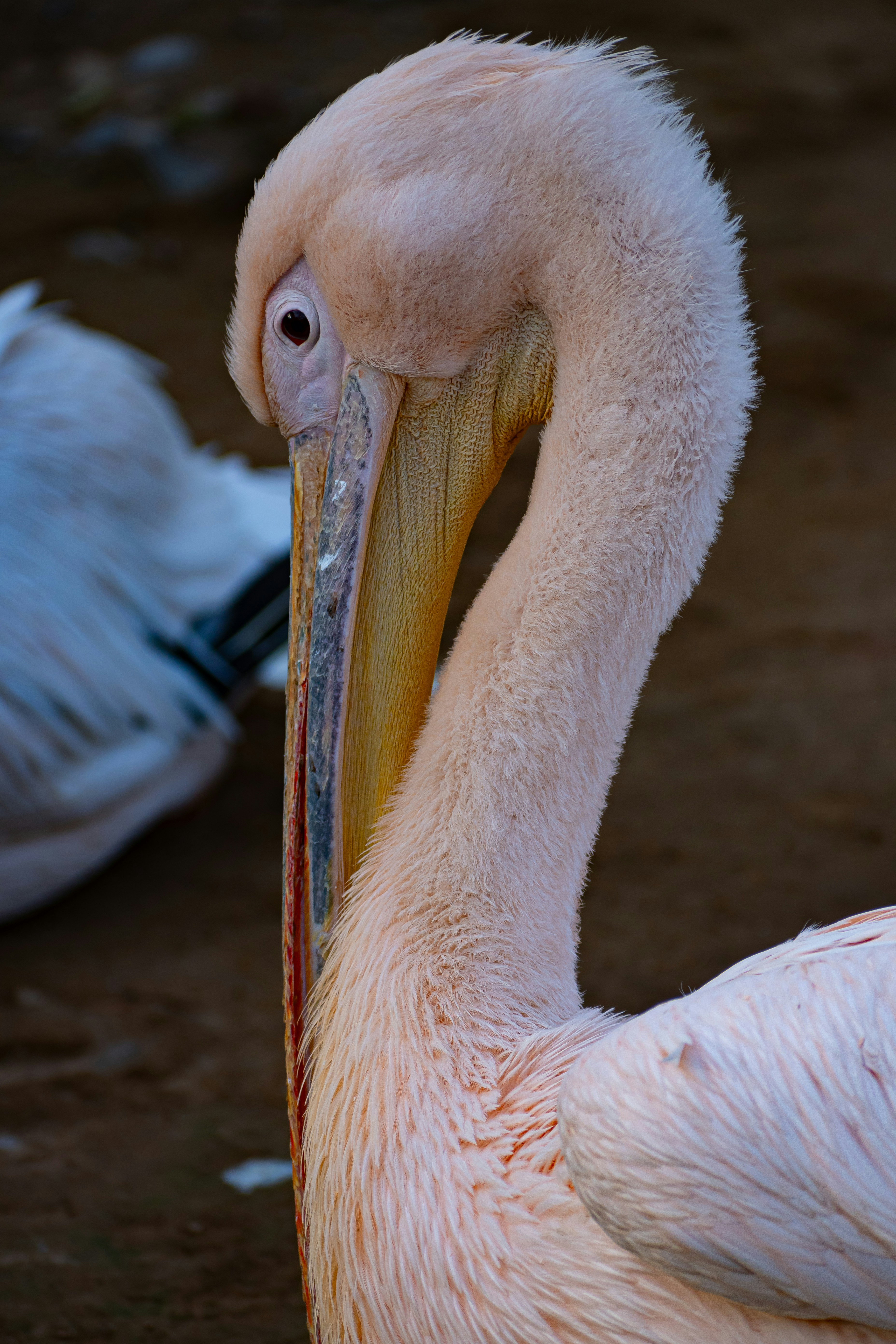 Photo by maheerakulsoom