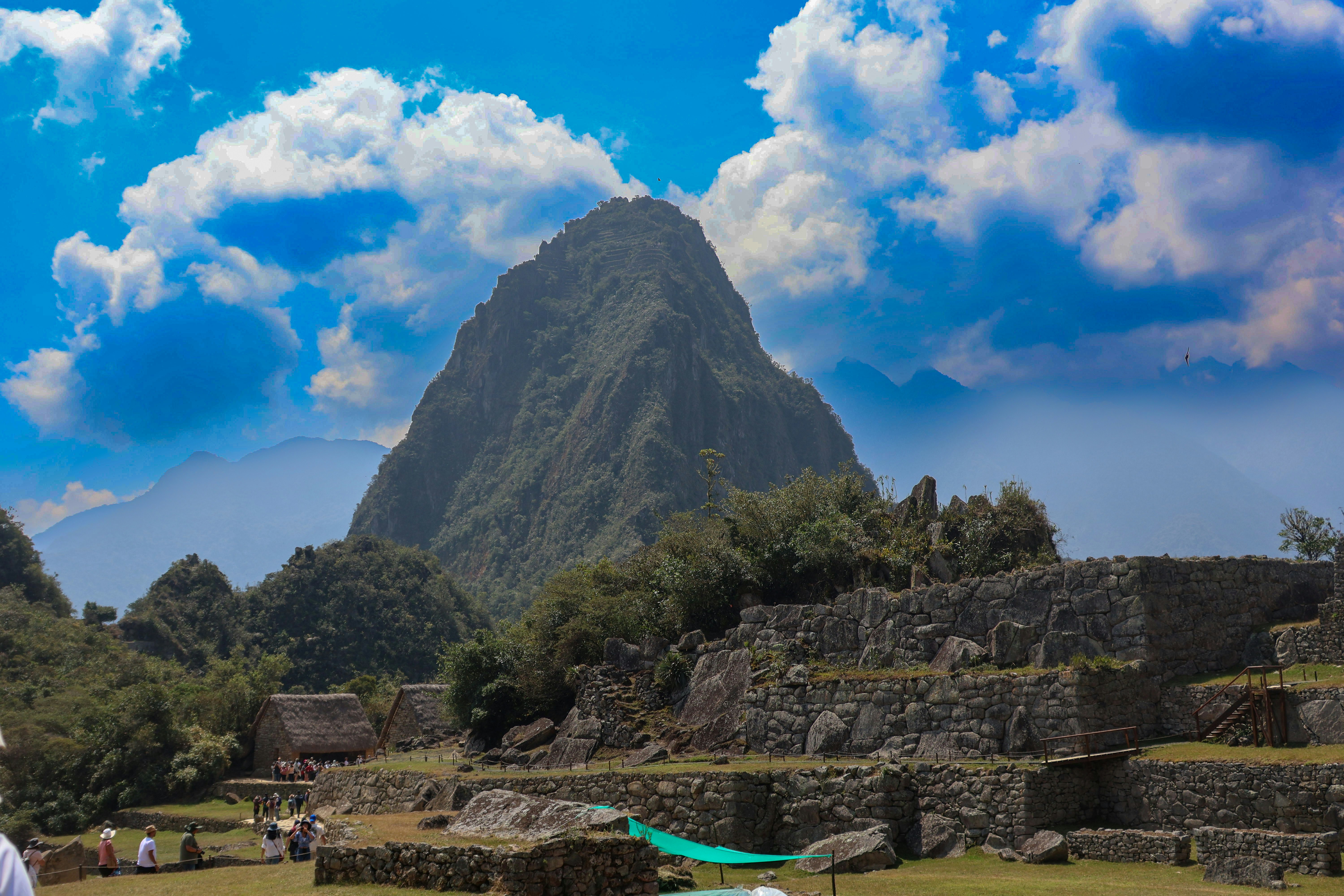 A group of people standing on top of a lush green field