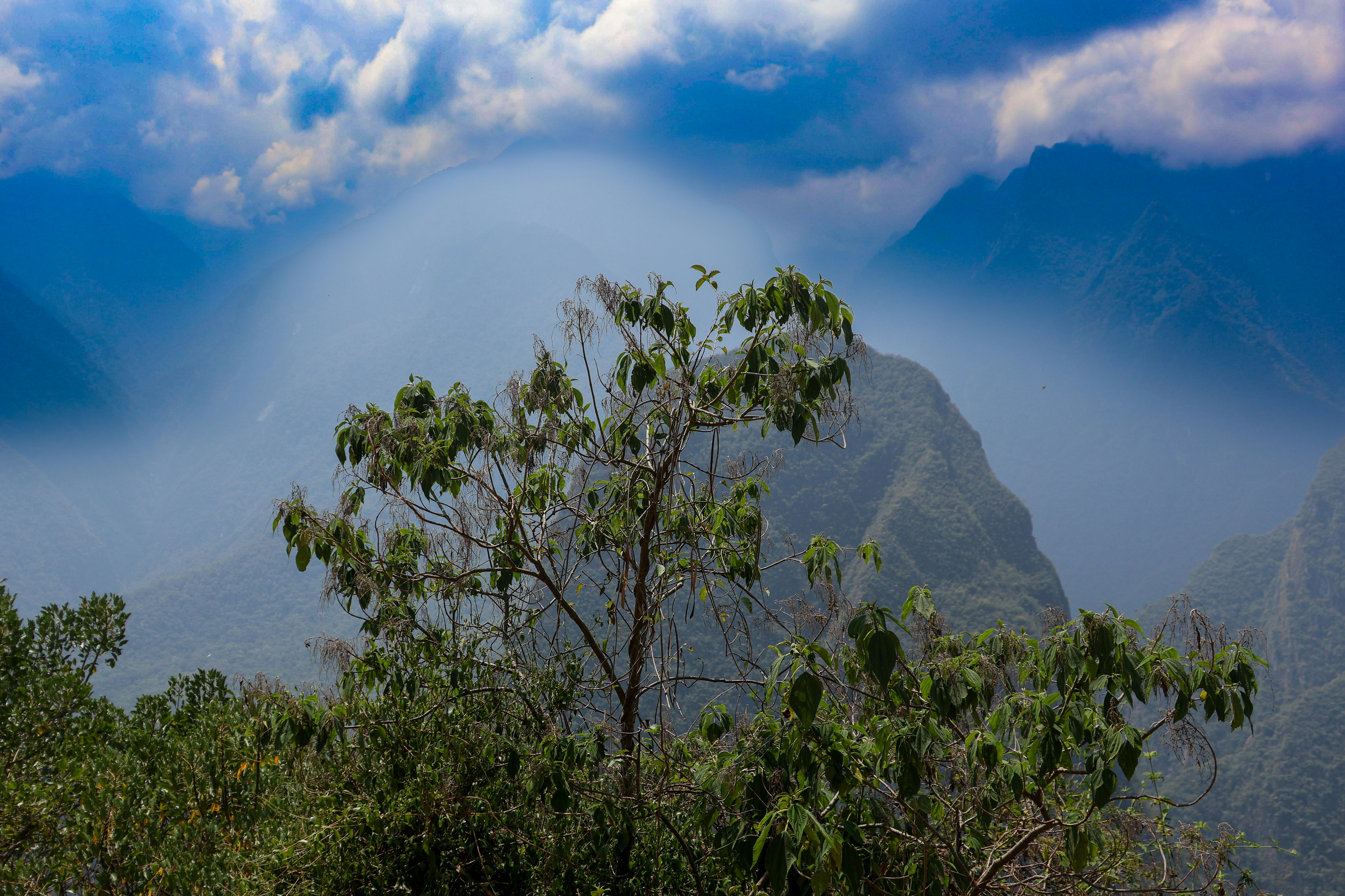 Photo by traveleroohlala