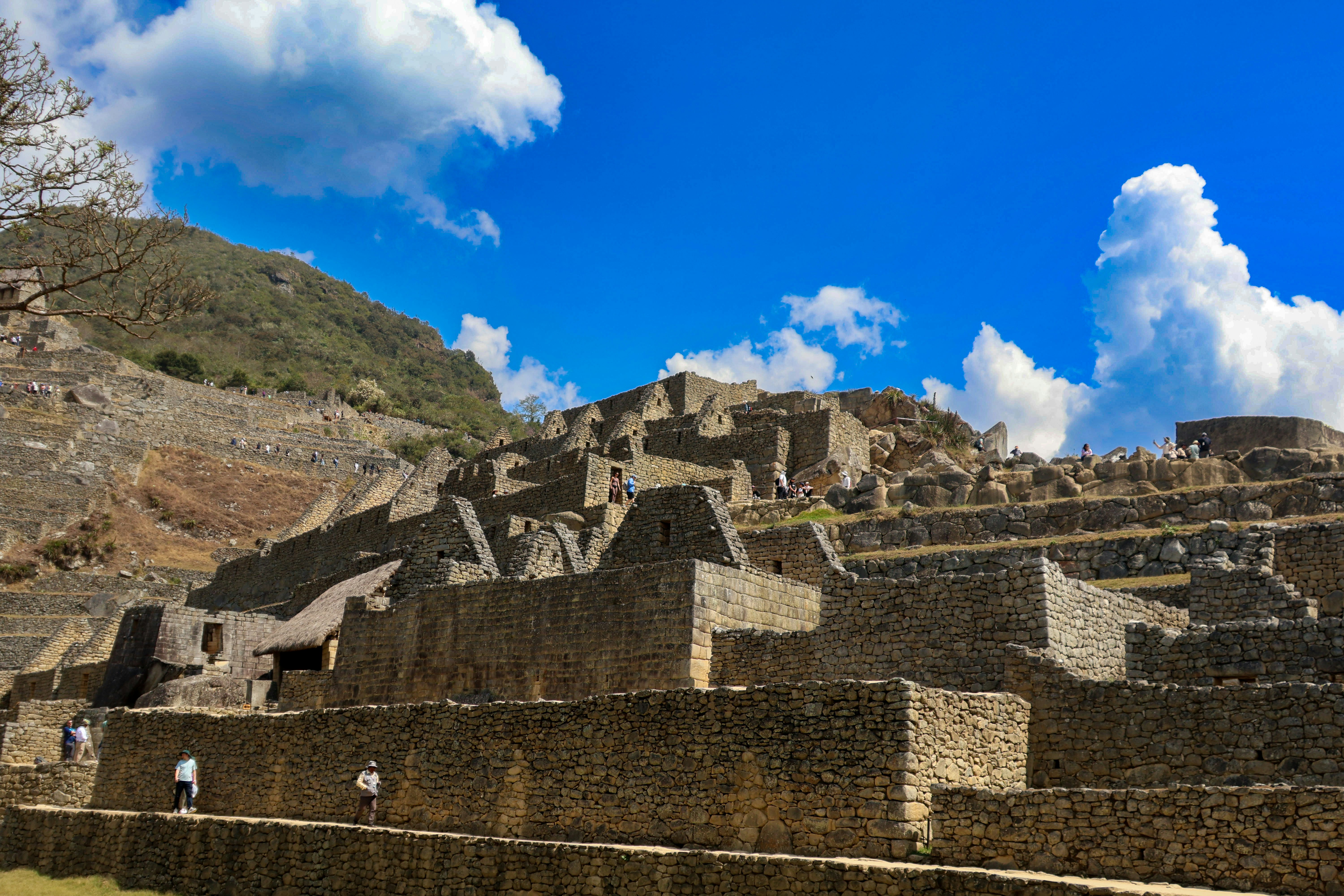 A large group of buildings sitting on top of a hill