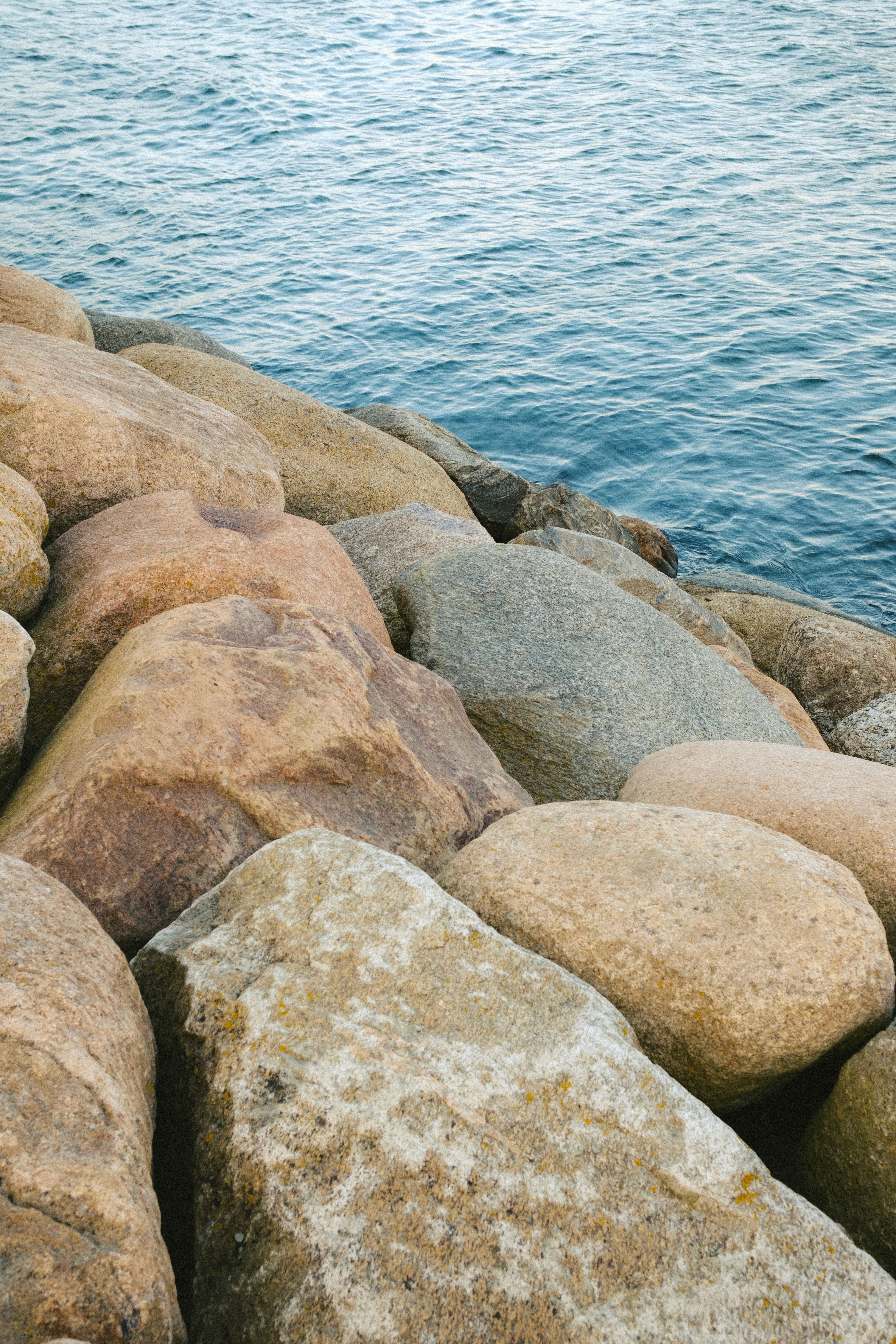 Photo by genet_schneider