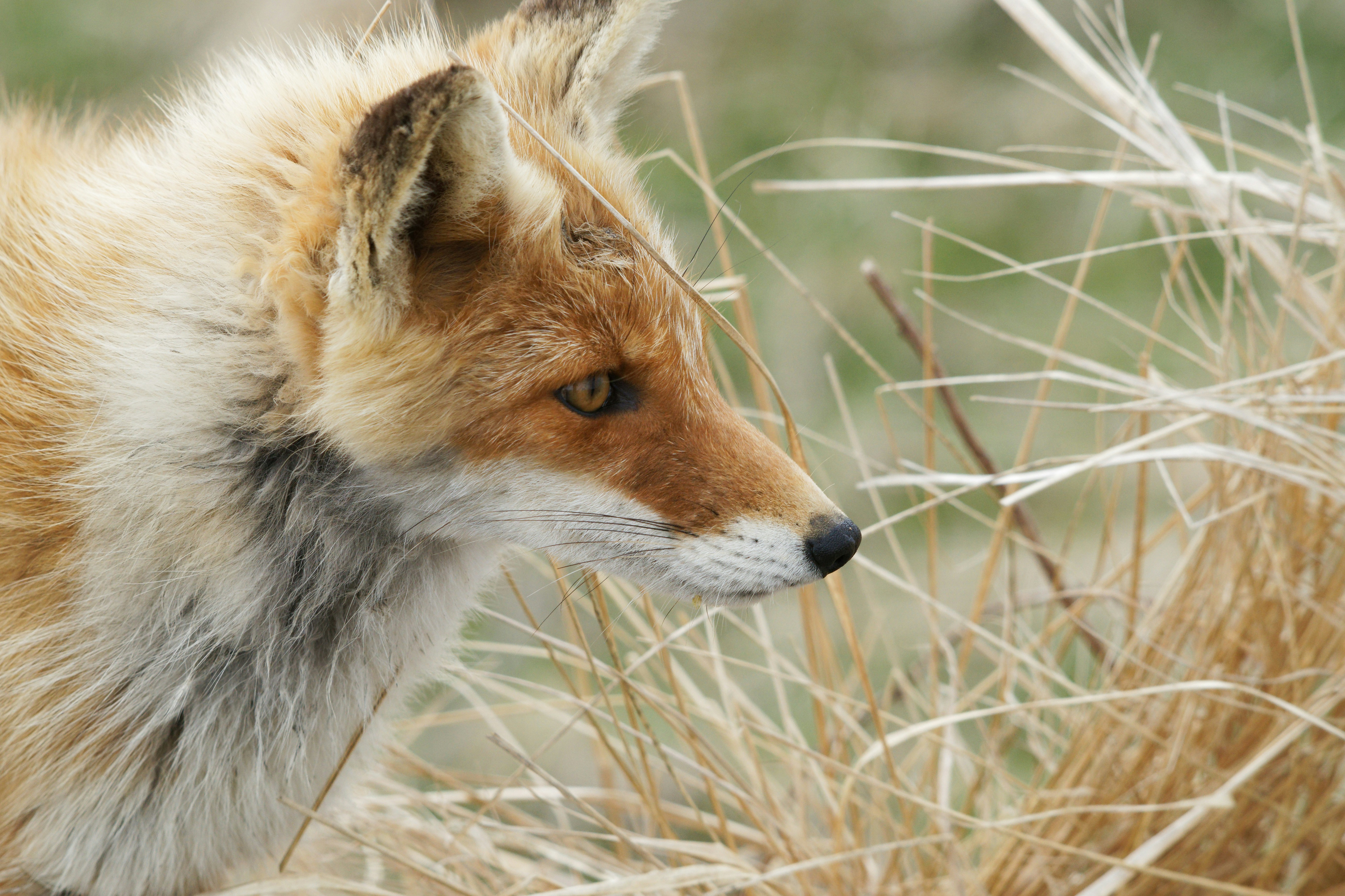 Photo by da_shika_photo