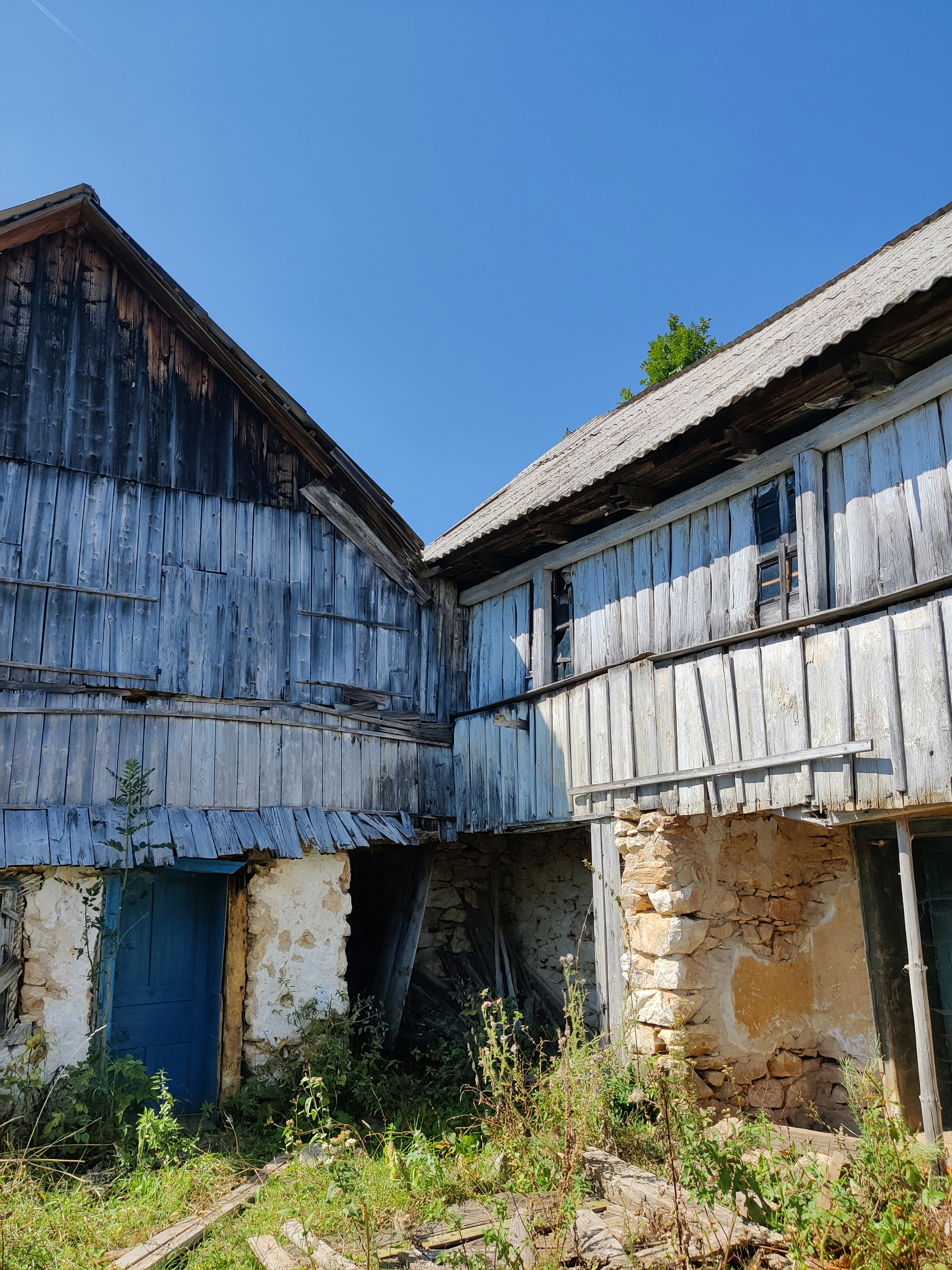 Photo by razvan_trif