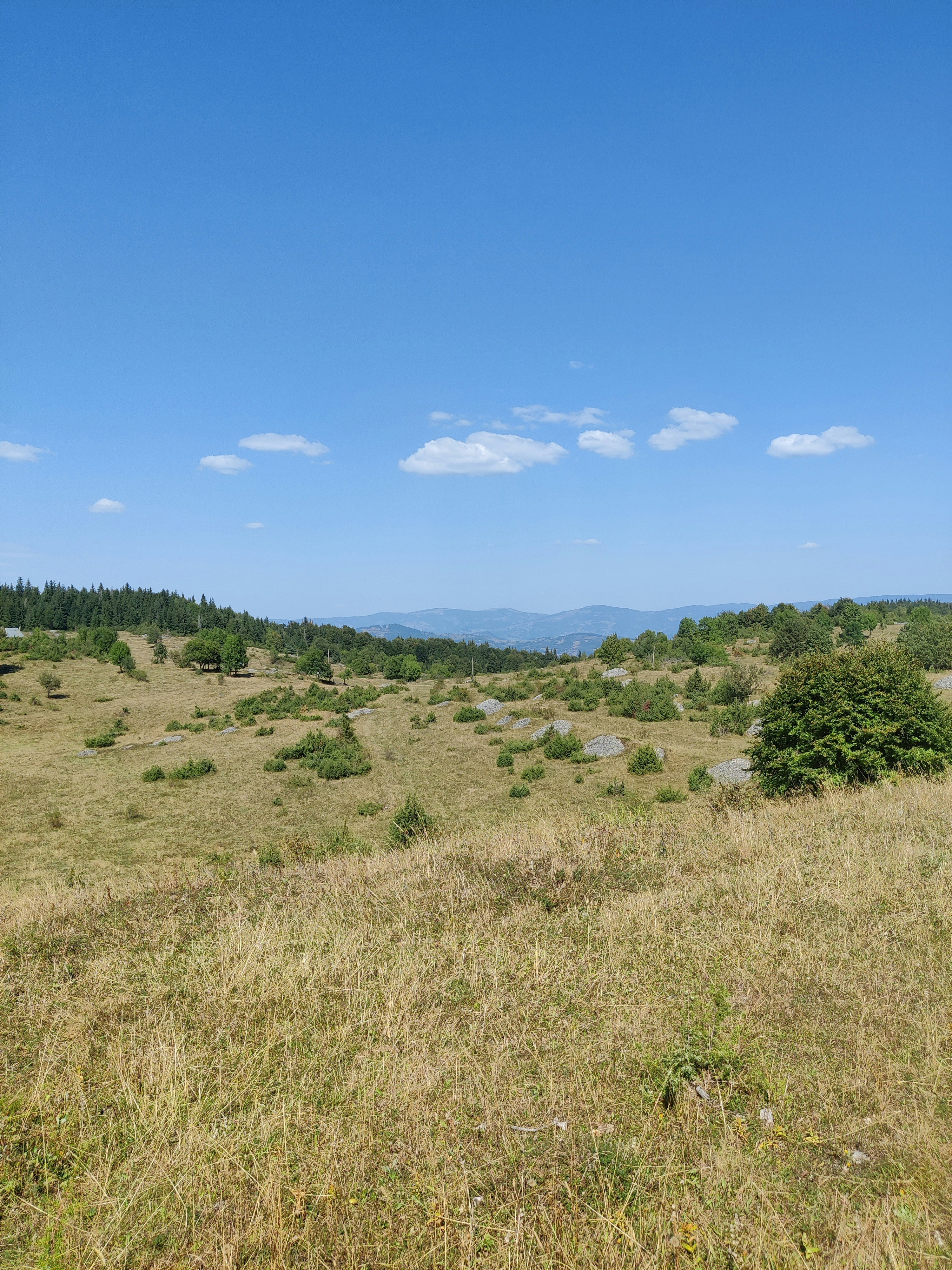 Photo by razvan_trif