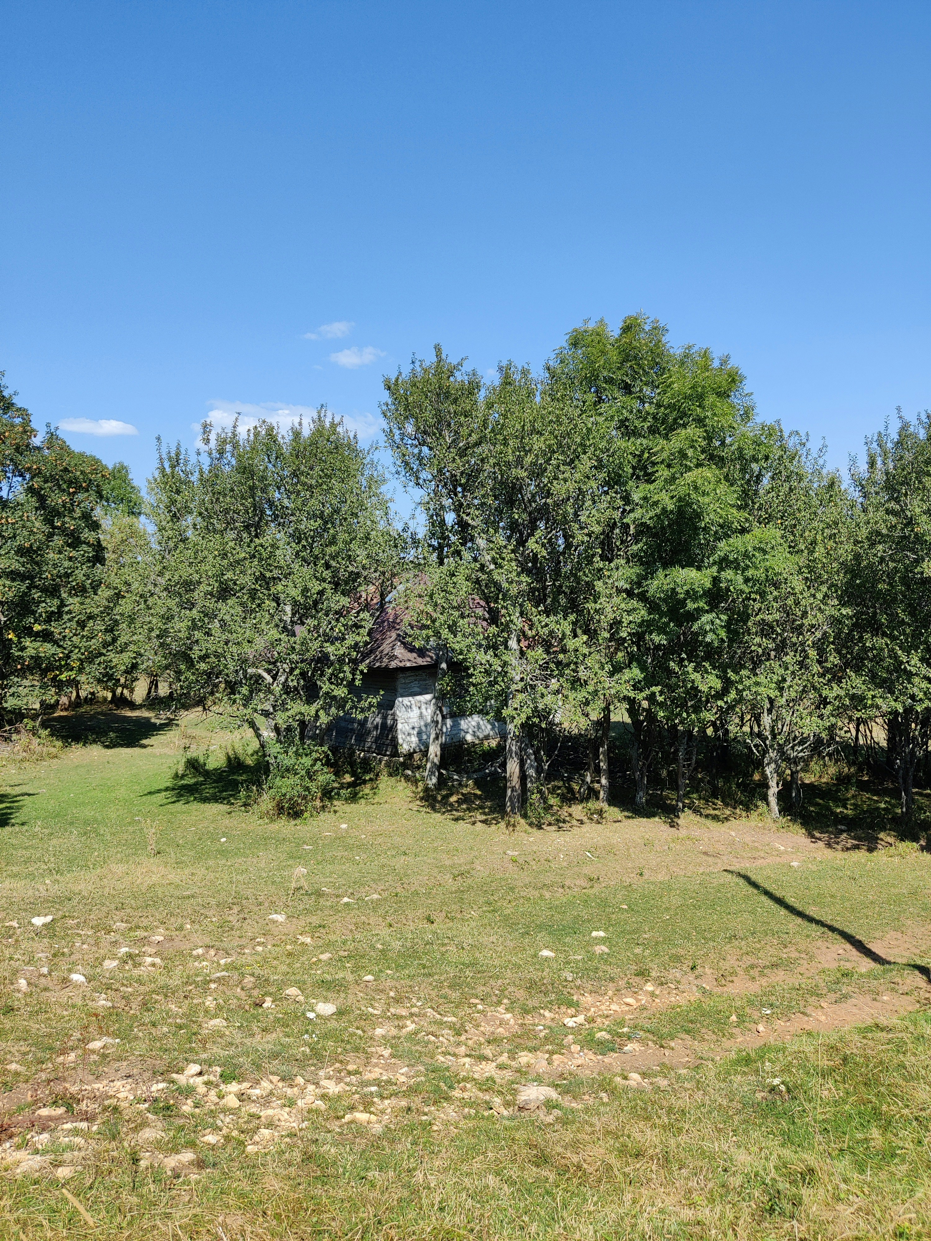 Photo by razvan_trif