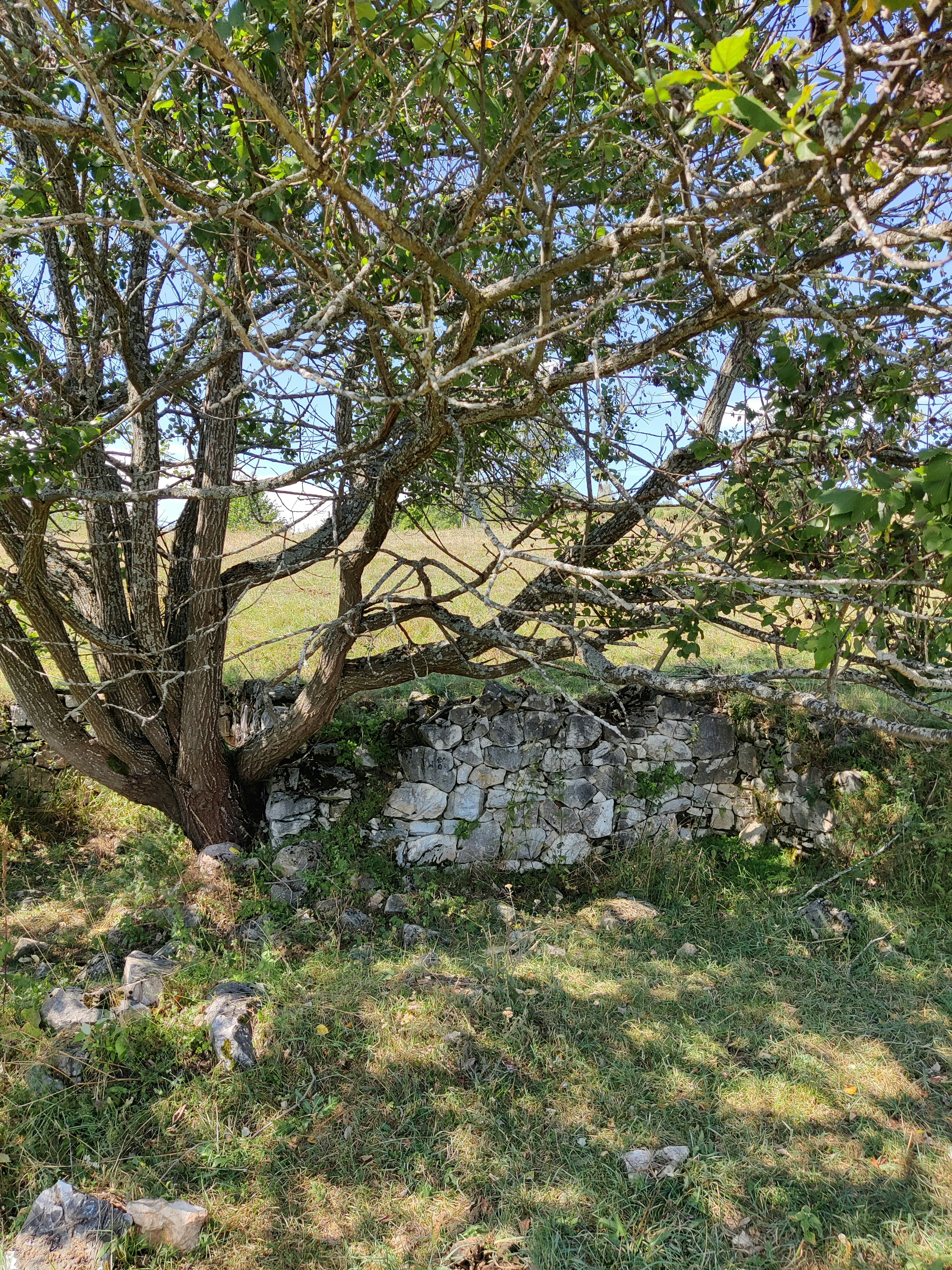 Photo by razvan_trif