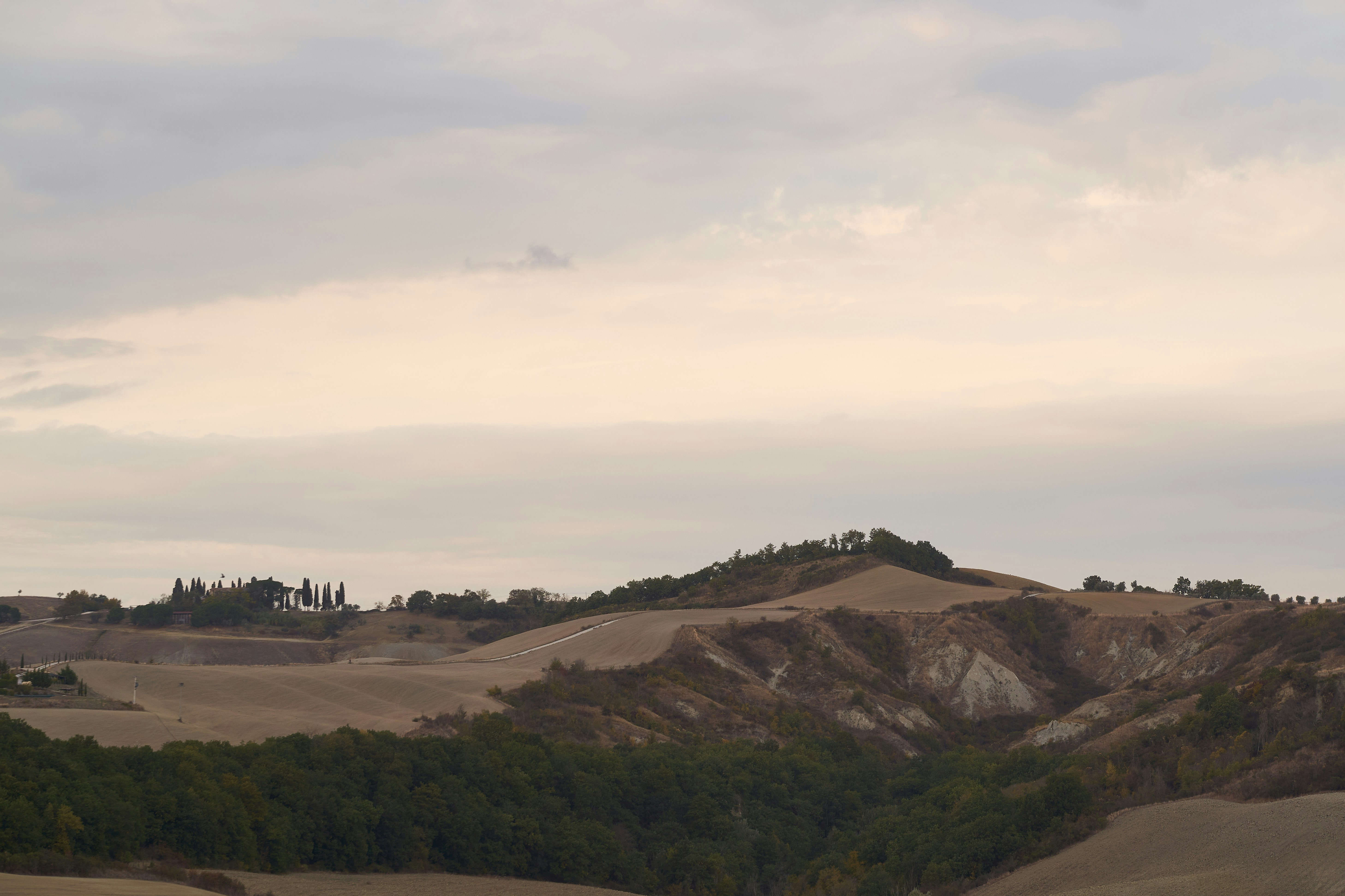 Photo by wolfgang_hasselmann