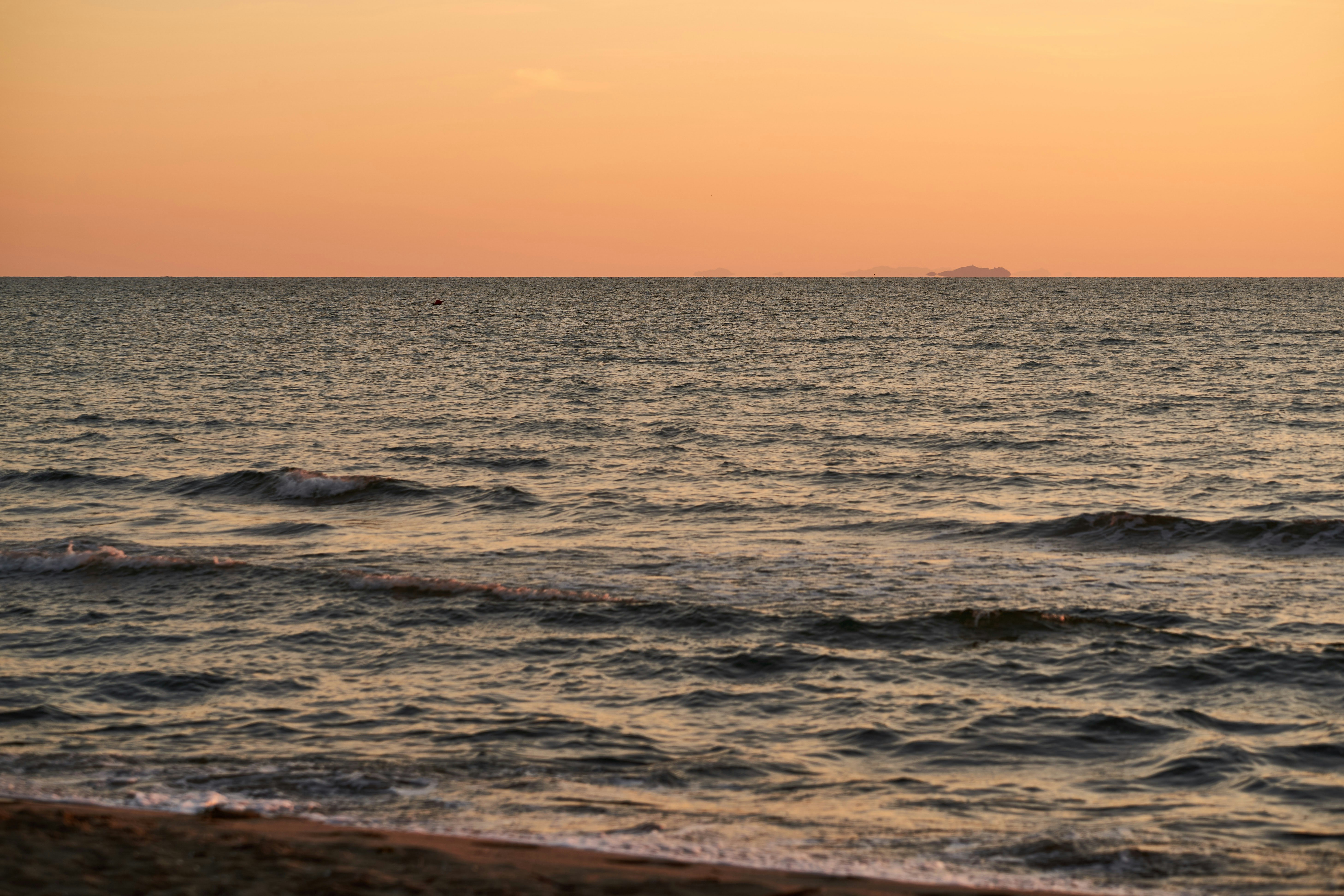 Photo by wolfgang_hasselmann