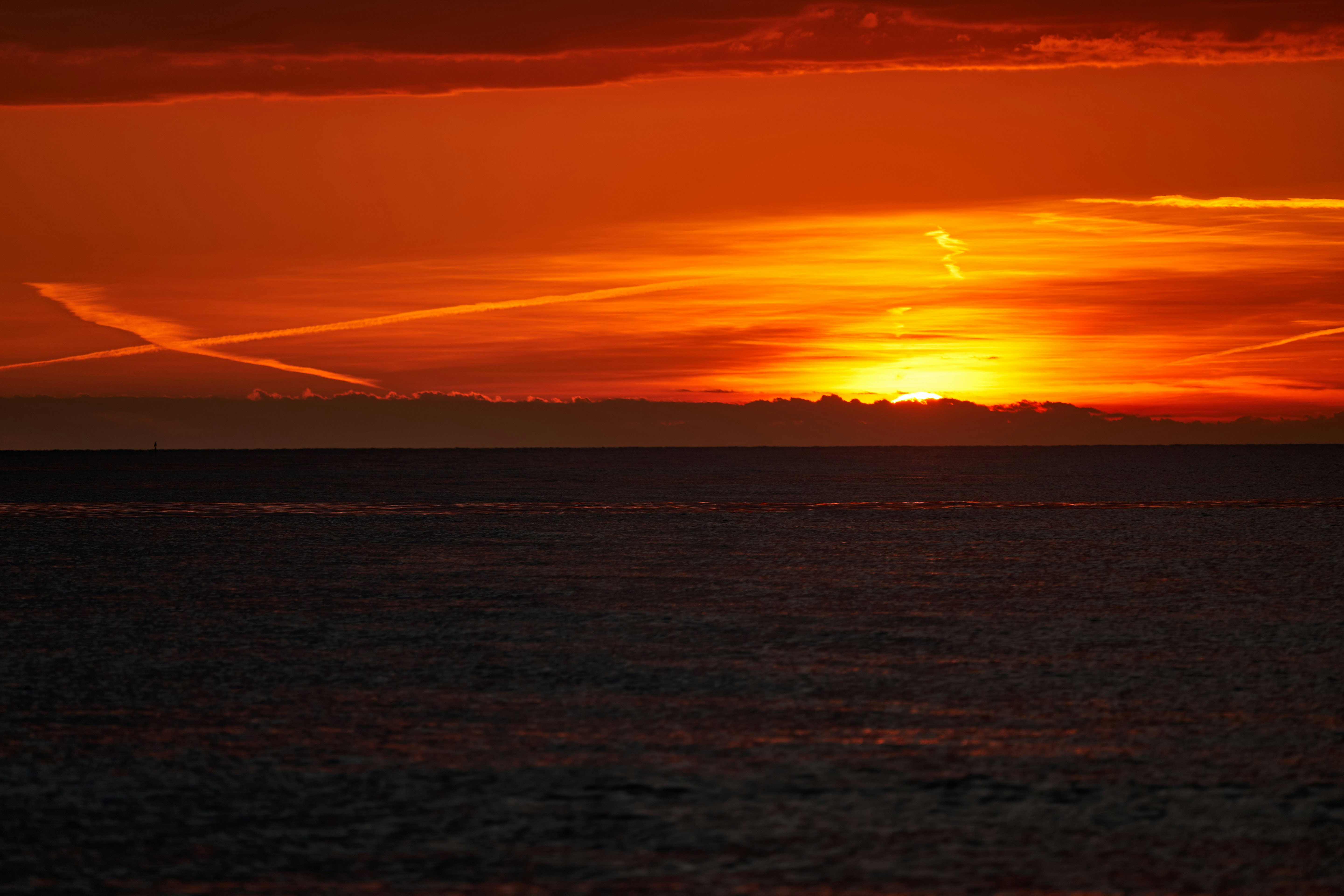 Photo by wolfgang_hasselmann