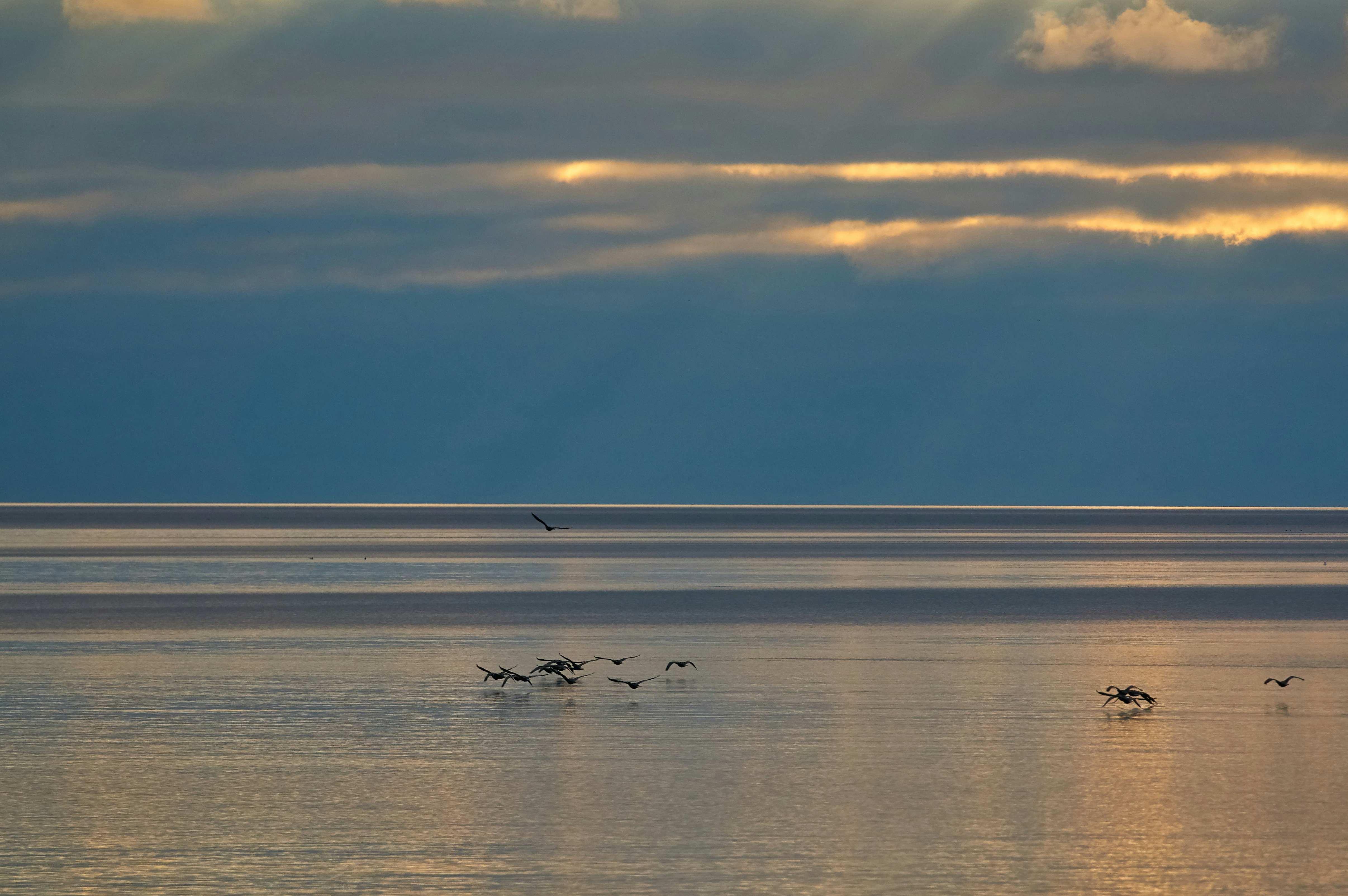 Photo by wolfgang_hasselmann