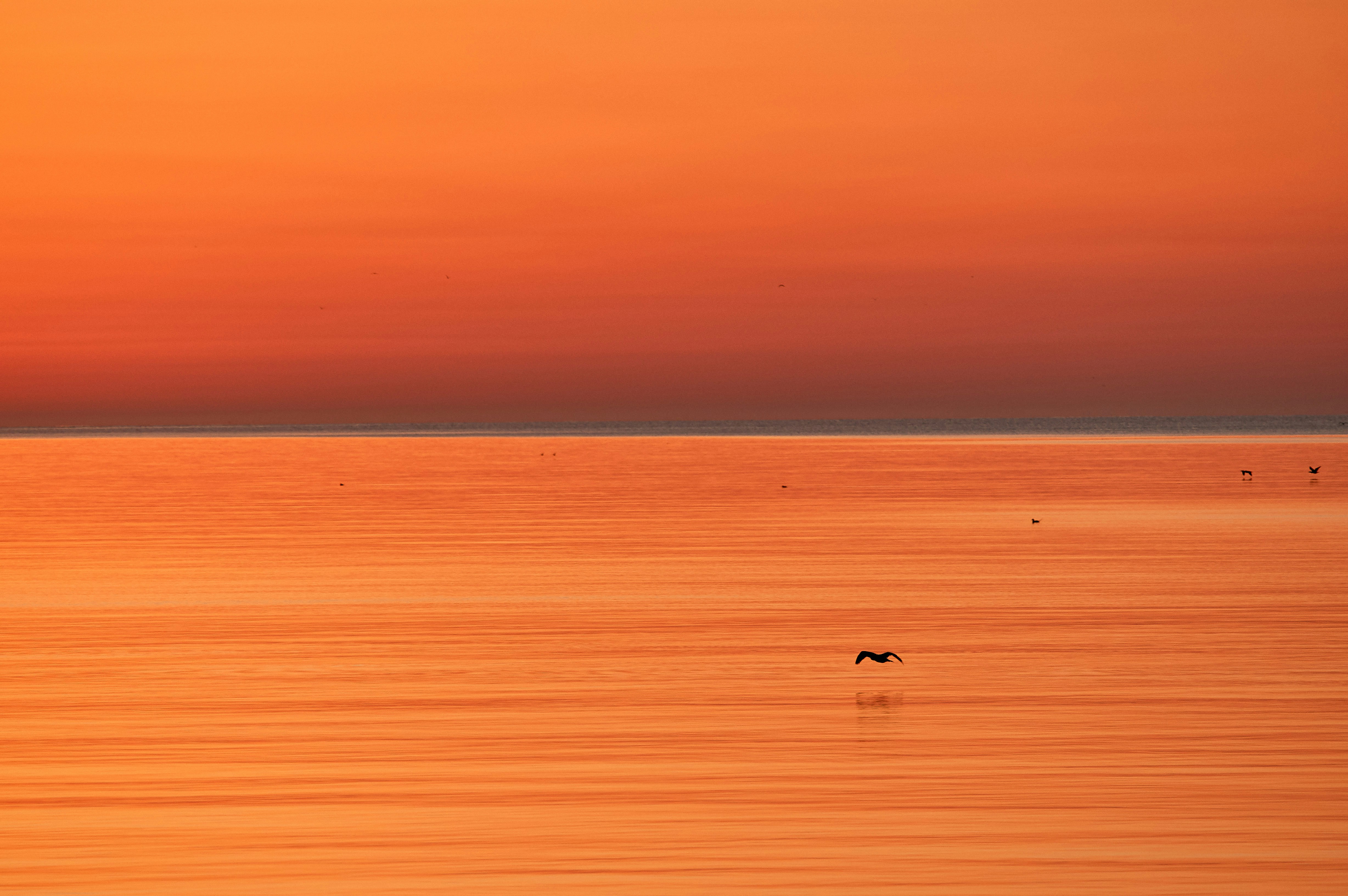 Photo by wolfgang_hasselmann