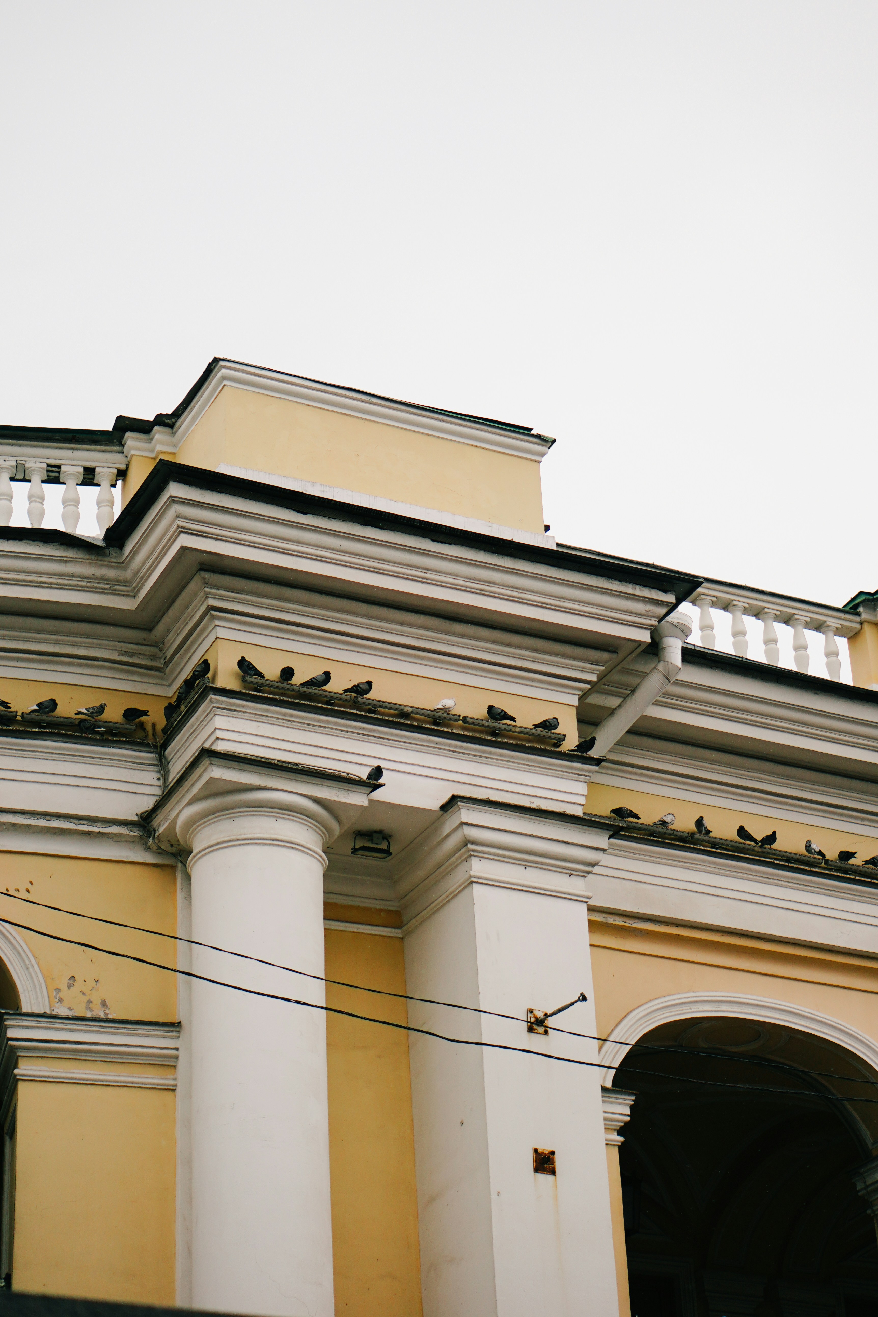 Photo by shushan_mln