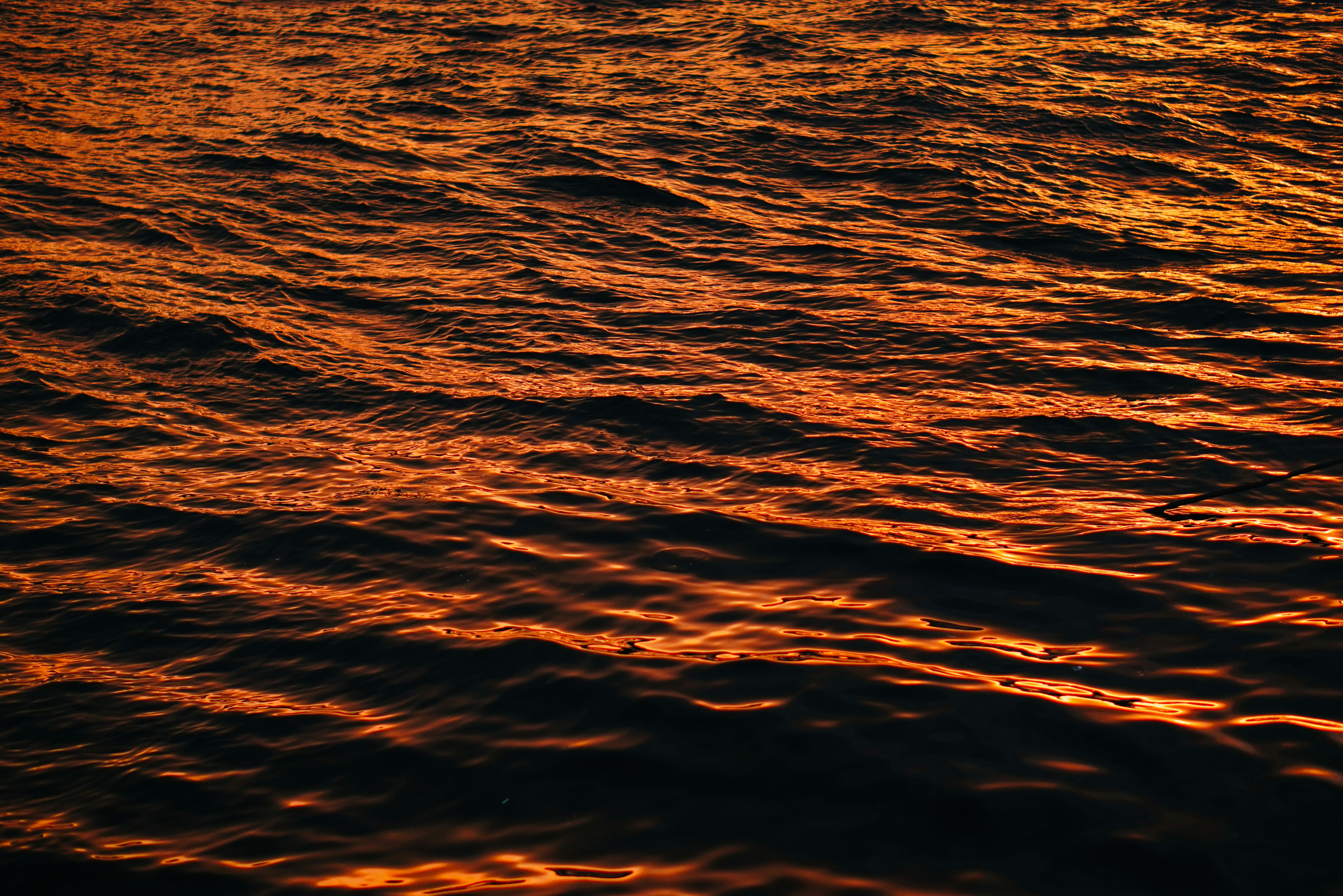 Photo by shushan_mln