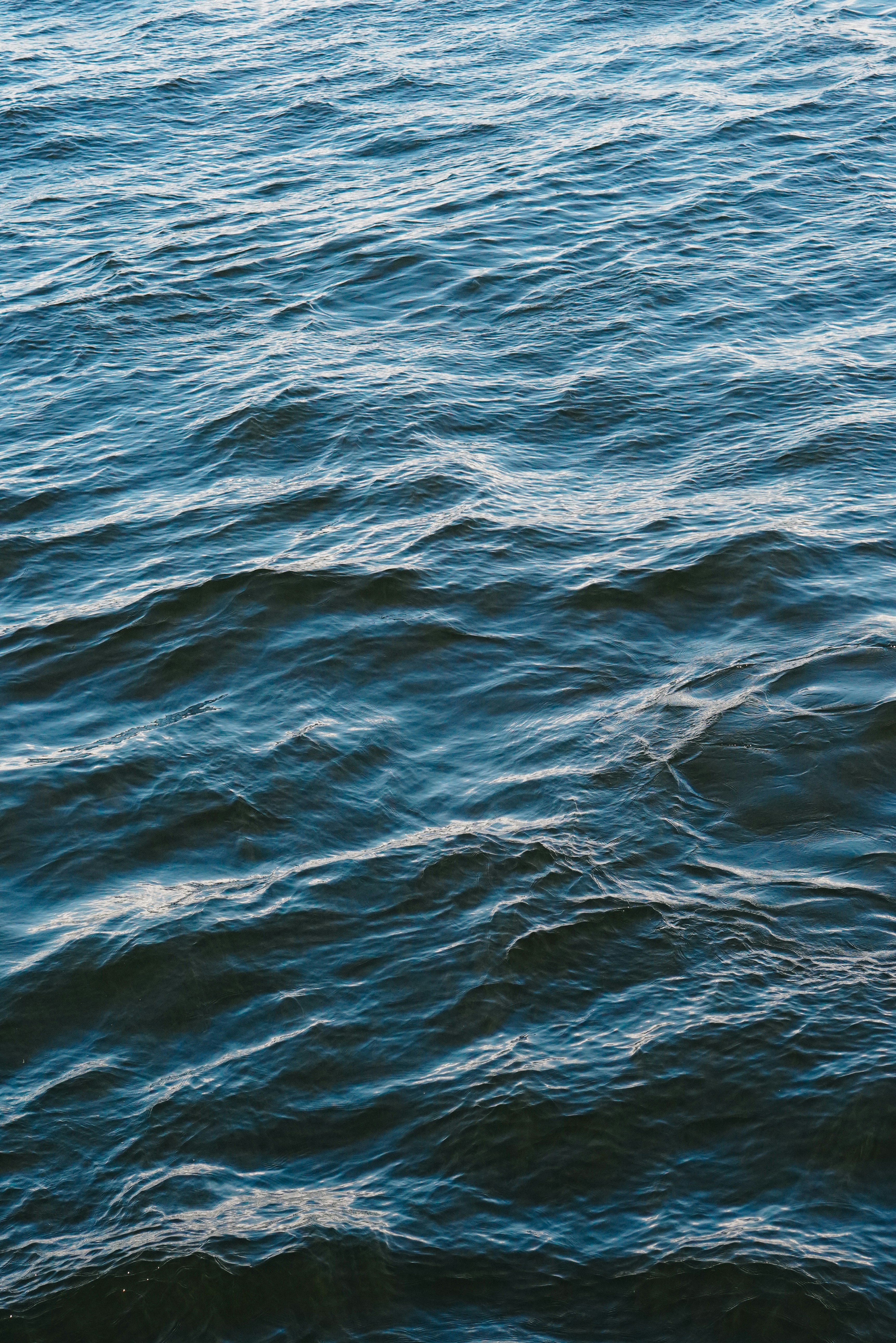 Photo by shushan_mln