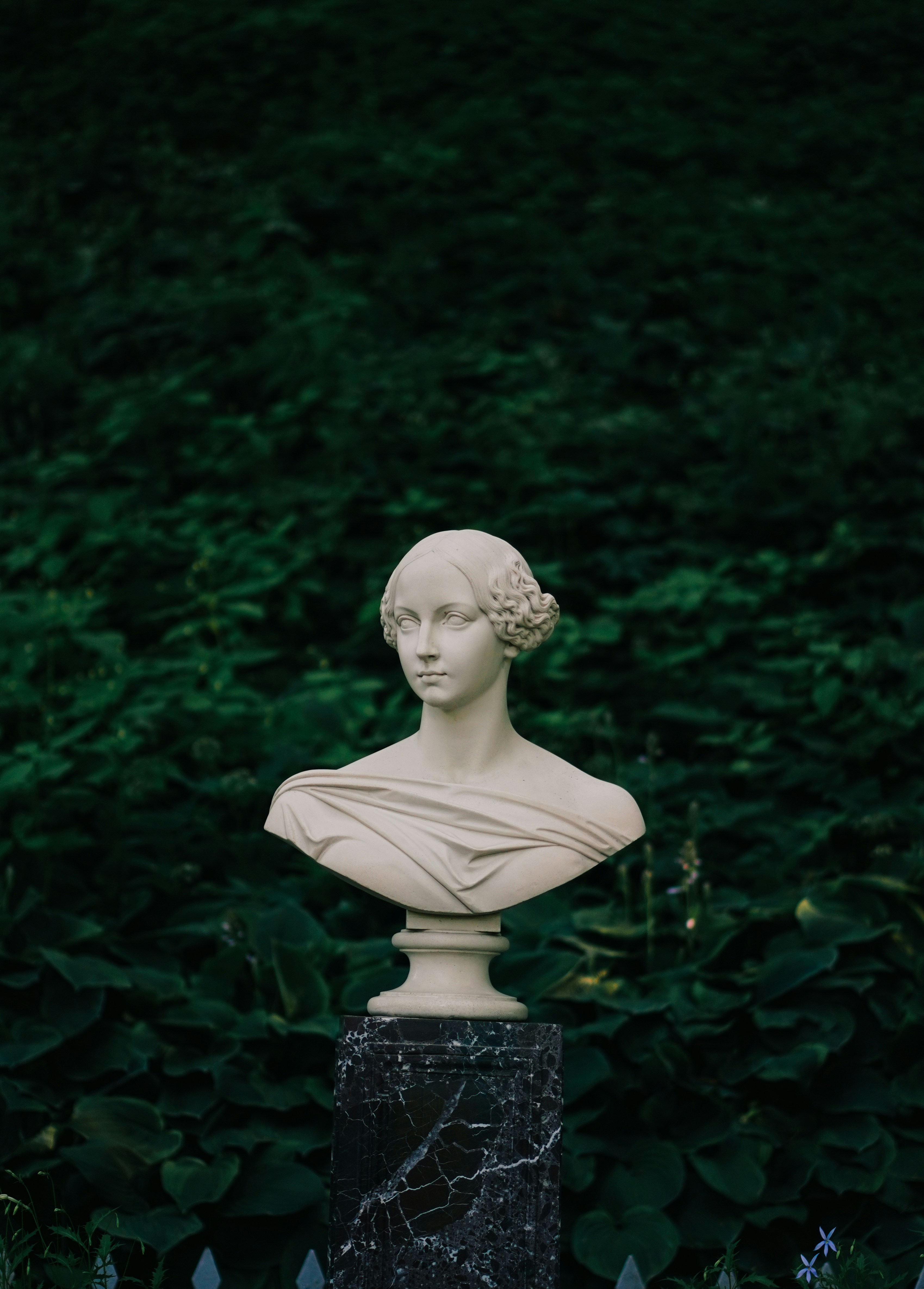 Photo by shushan_mln