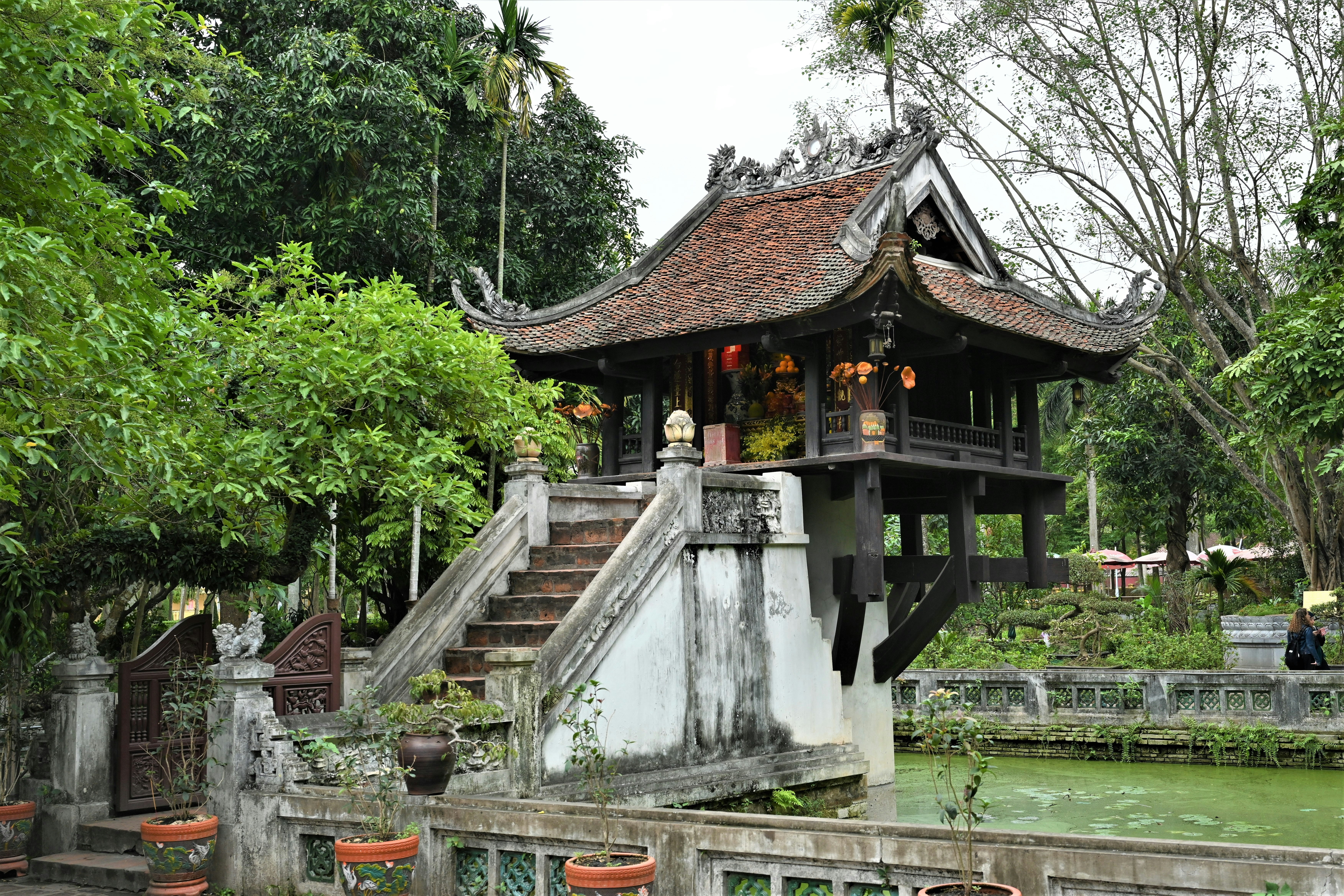 Photo by duongthanhhoa