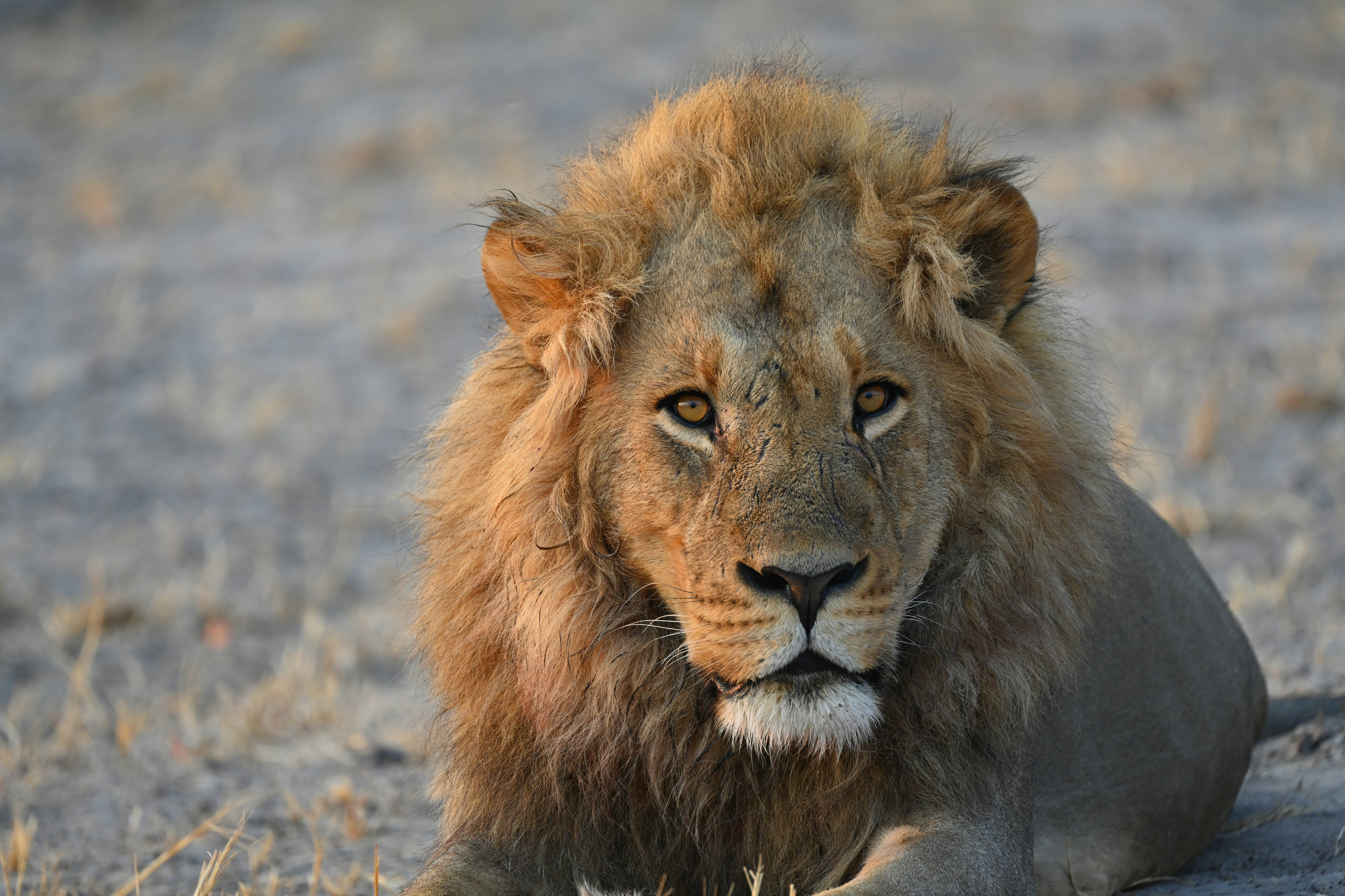 Photo by duongthanhhoa