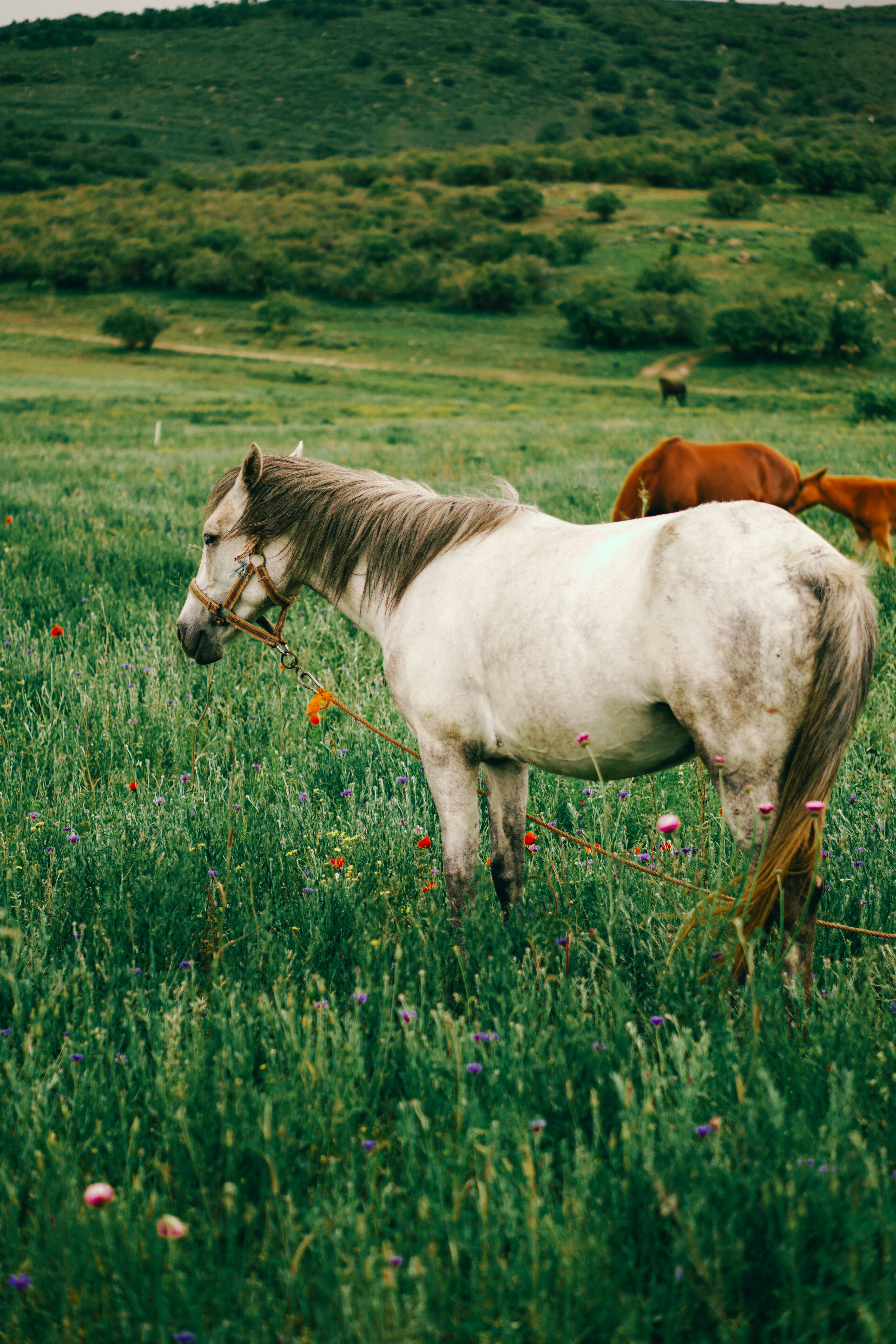 Photo by shushan_mln