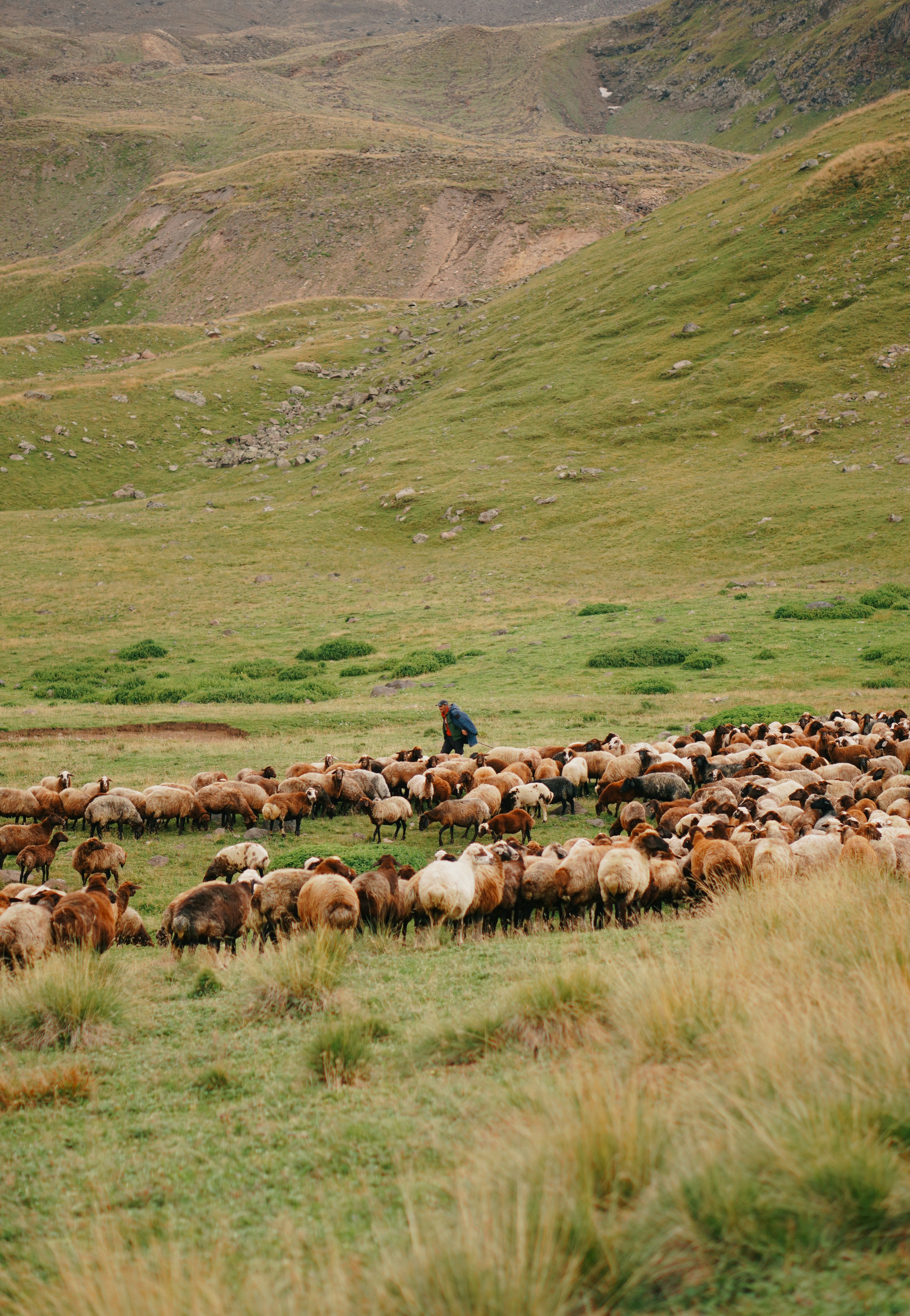 Photo by shushan_mln